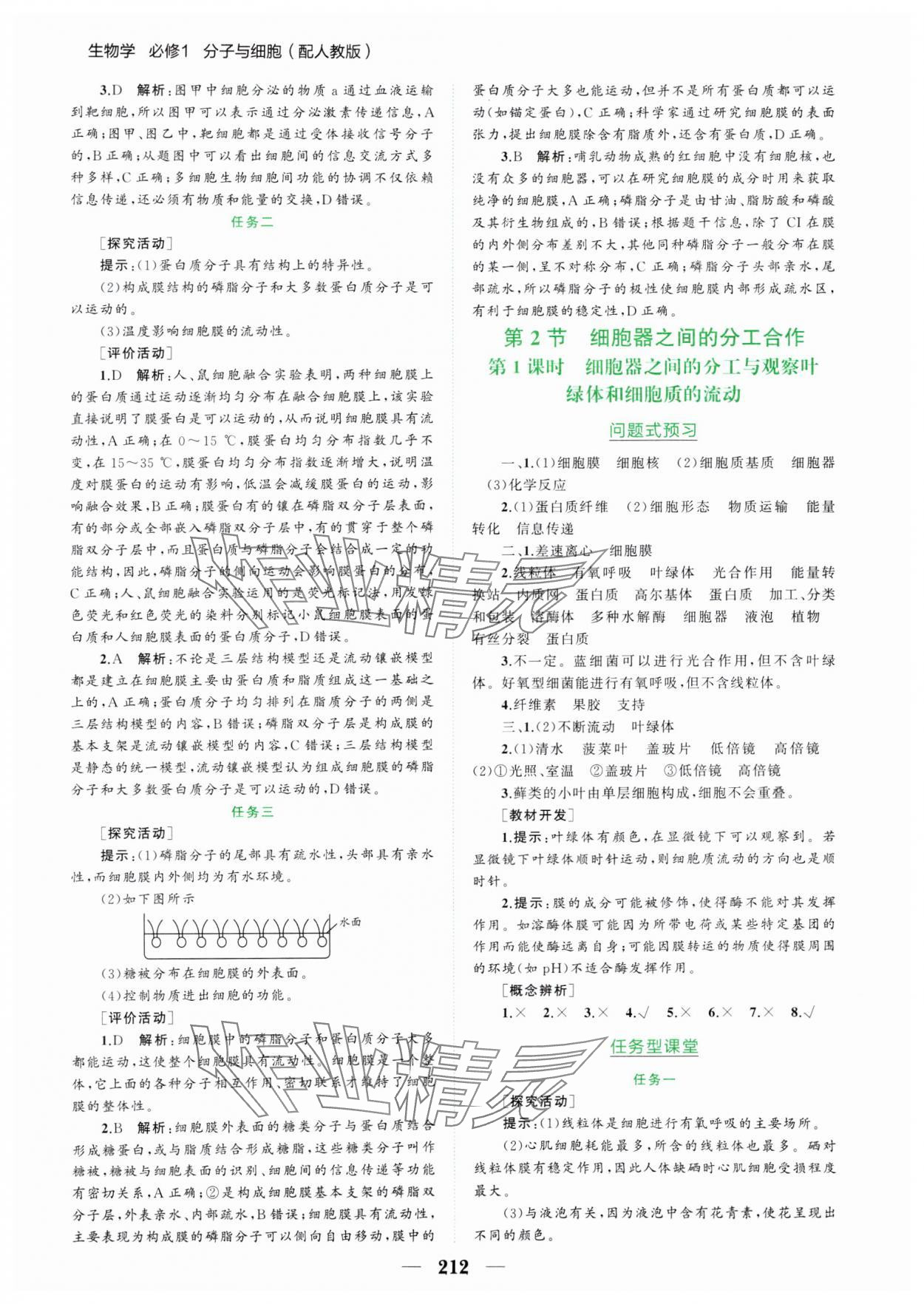 2024年點金訓練精講巧練高中生物必修1人教版 第8頁