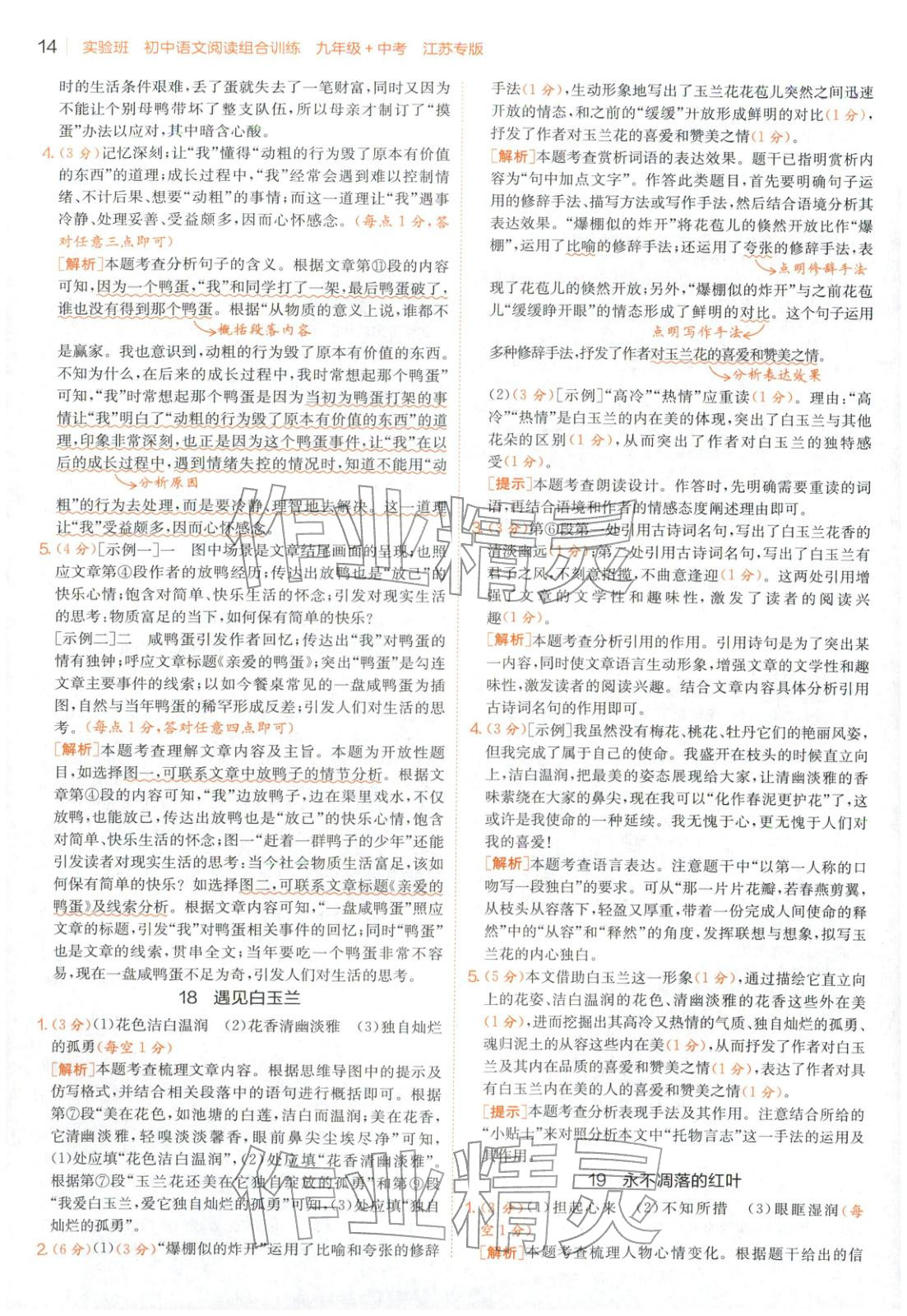 2025年實驗班閱讀組合訓(xùn)練五合一九年級語文江蘇專版&nbsp;第14頁