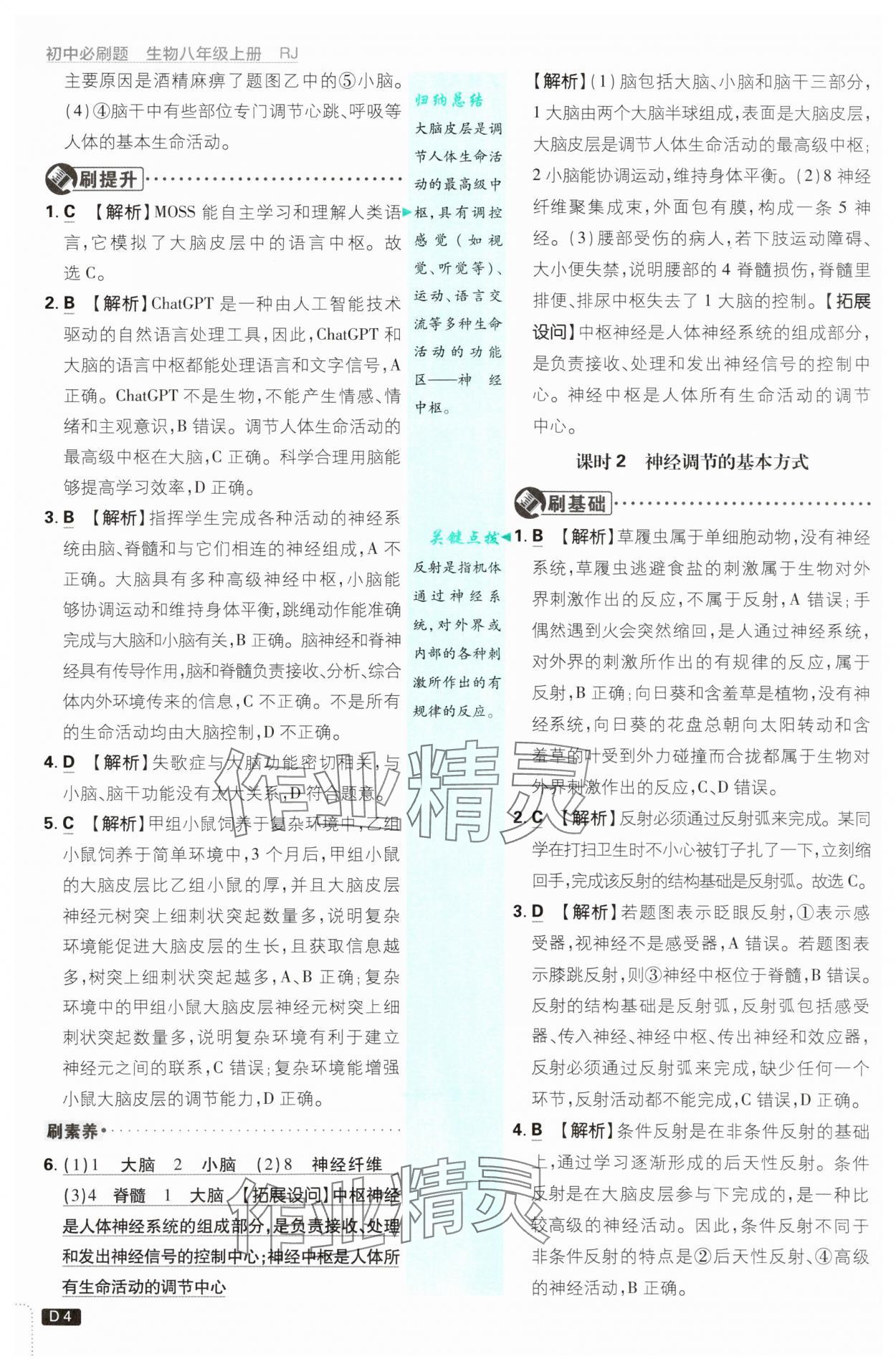 2025年初中必刷題八年級生物上冊人教版 第4頁