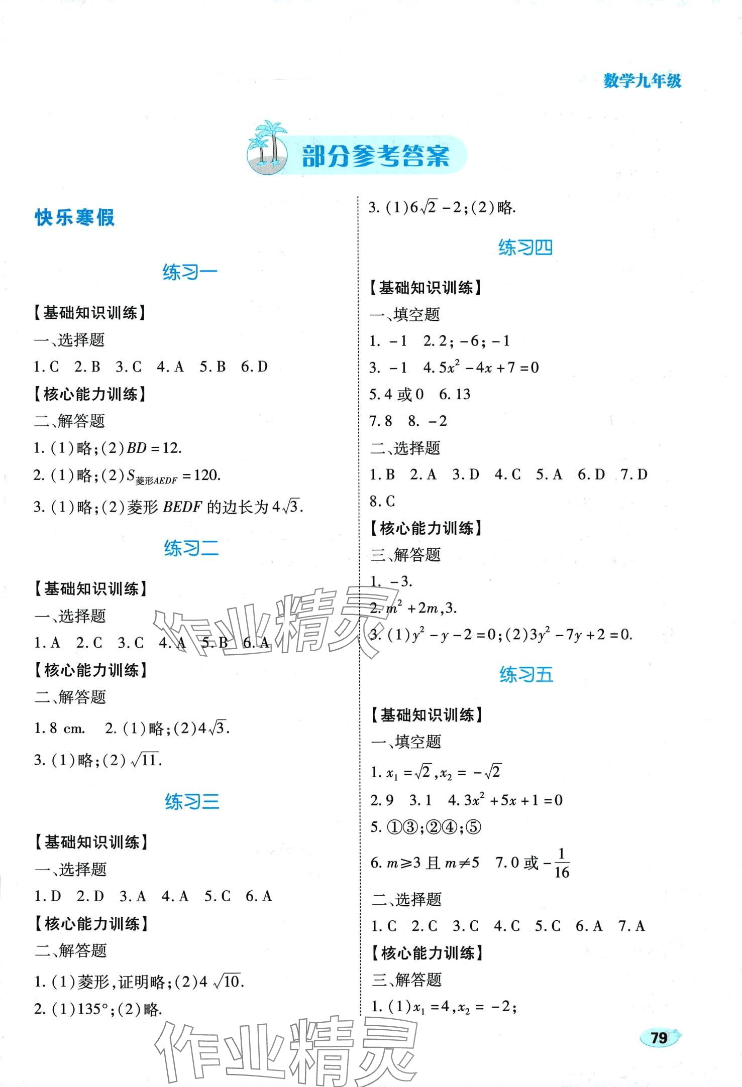 2024年樂享寒假生活九年級數(shù)學(xué) 第1頁