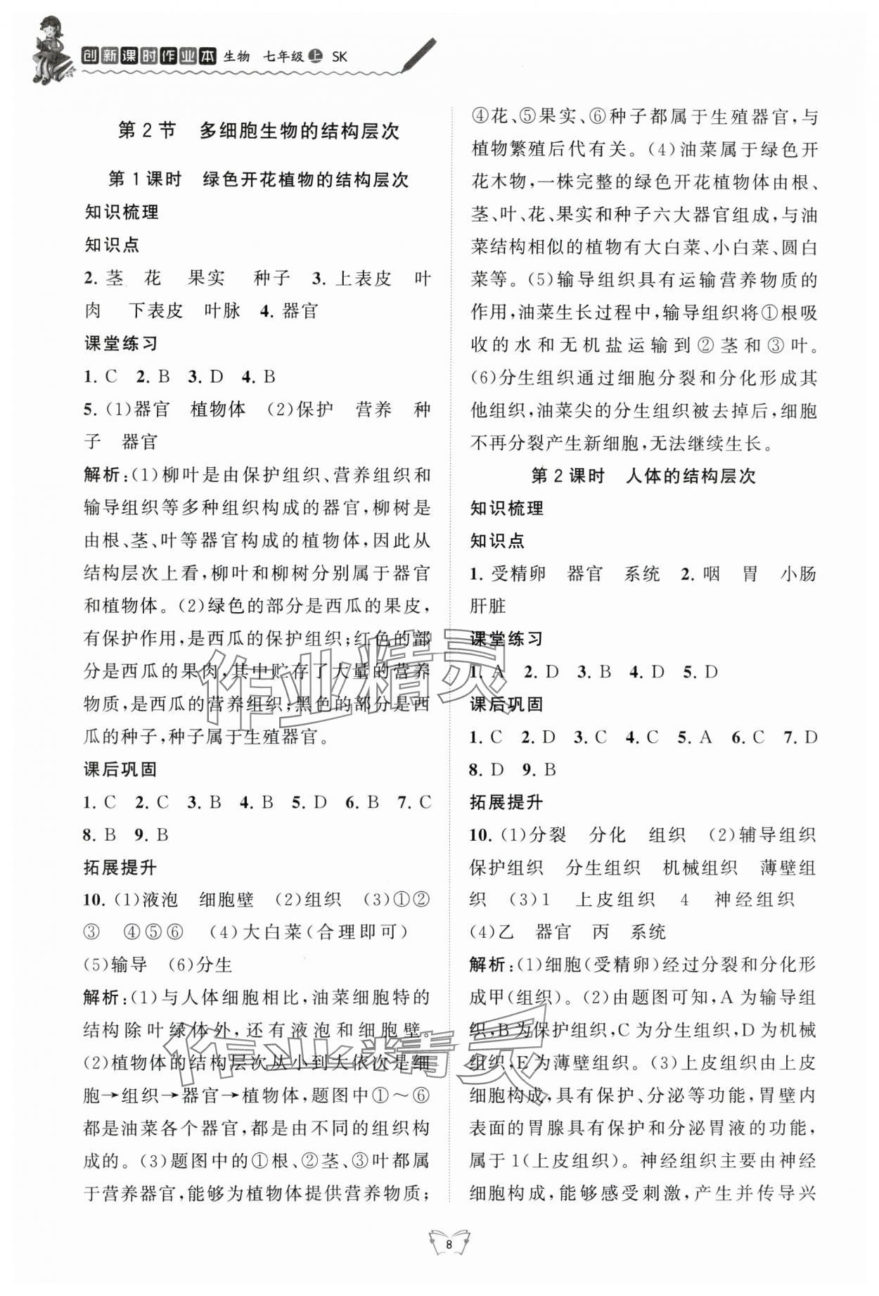 2024年創(chuàng)新課時作業(yè)本江蘇人民出版社七年級生物上冊蘇科版 第8頁