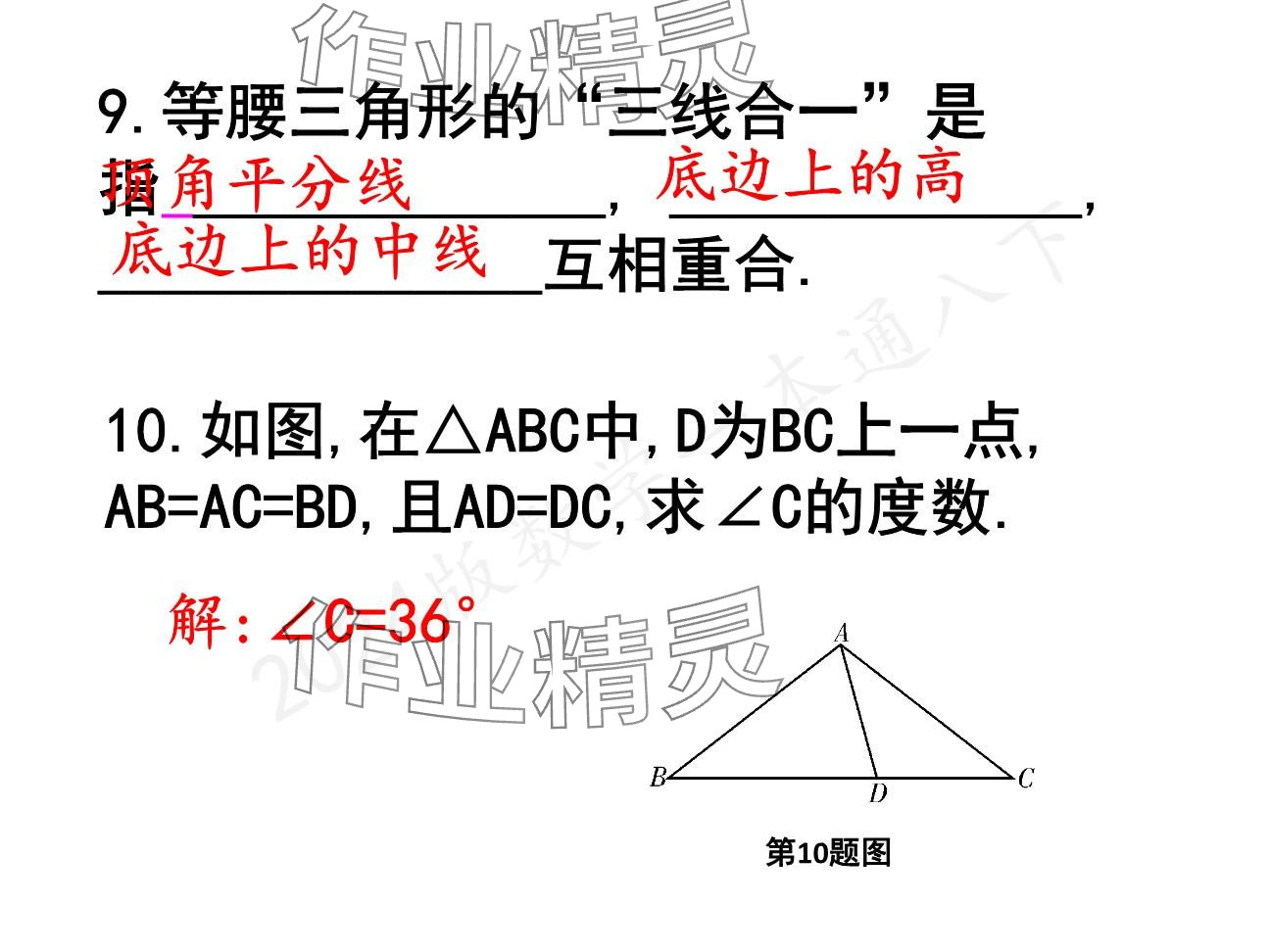 2025年一本通武漢出版社八年級數(shù)學(xué)下冊北師大版精簡版 參考答案第6頁