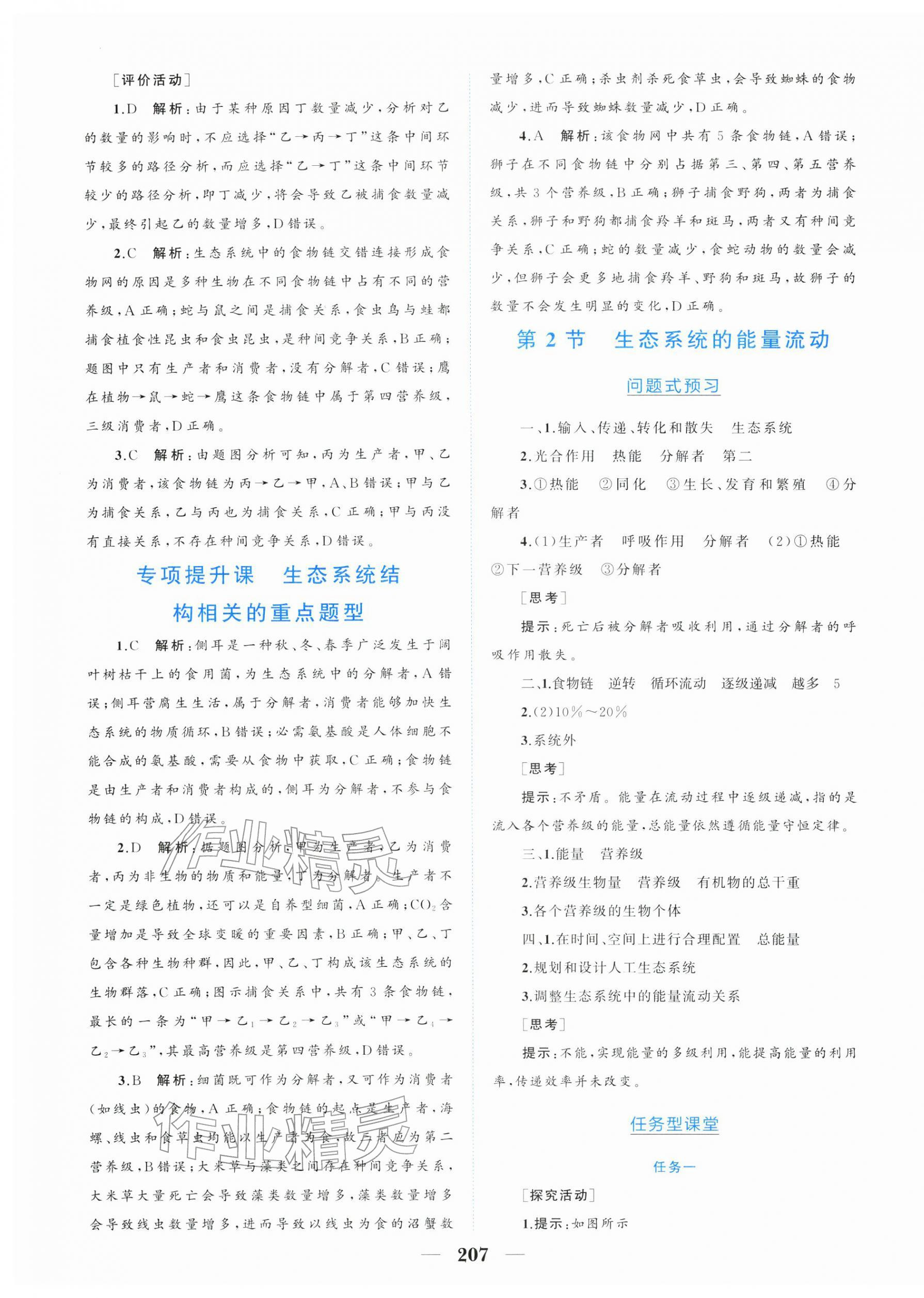 2026年点金训练精讲巧练高中生物选择性必修2人教版 第11页