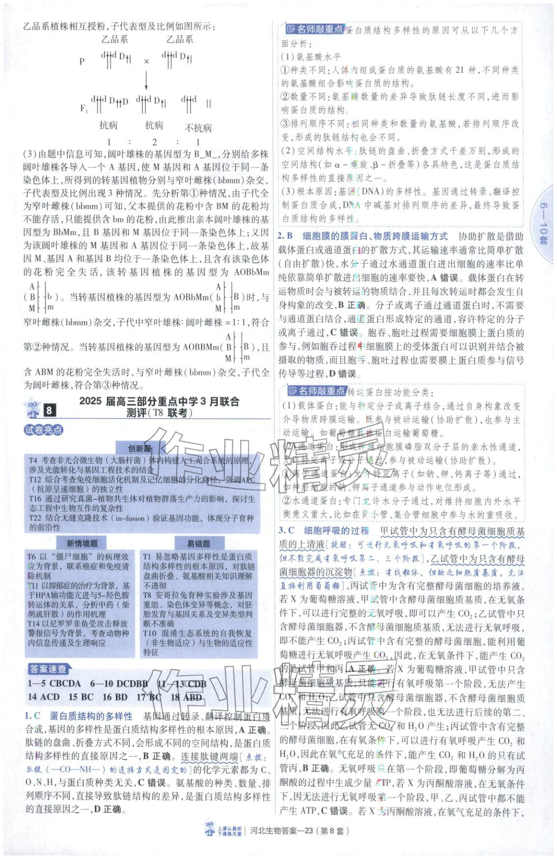 2026年金考卷优秀模拟试卷汇编45套高中生物河北专版 第23页