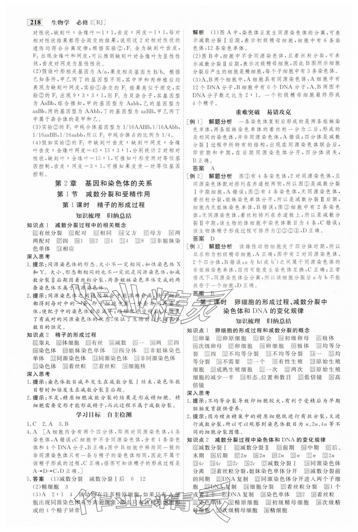 2024年金版教程高中新课程创新导学案高中生物必修2人教版 参考答案第7页