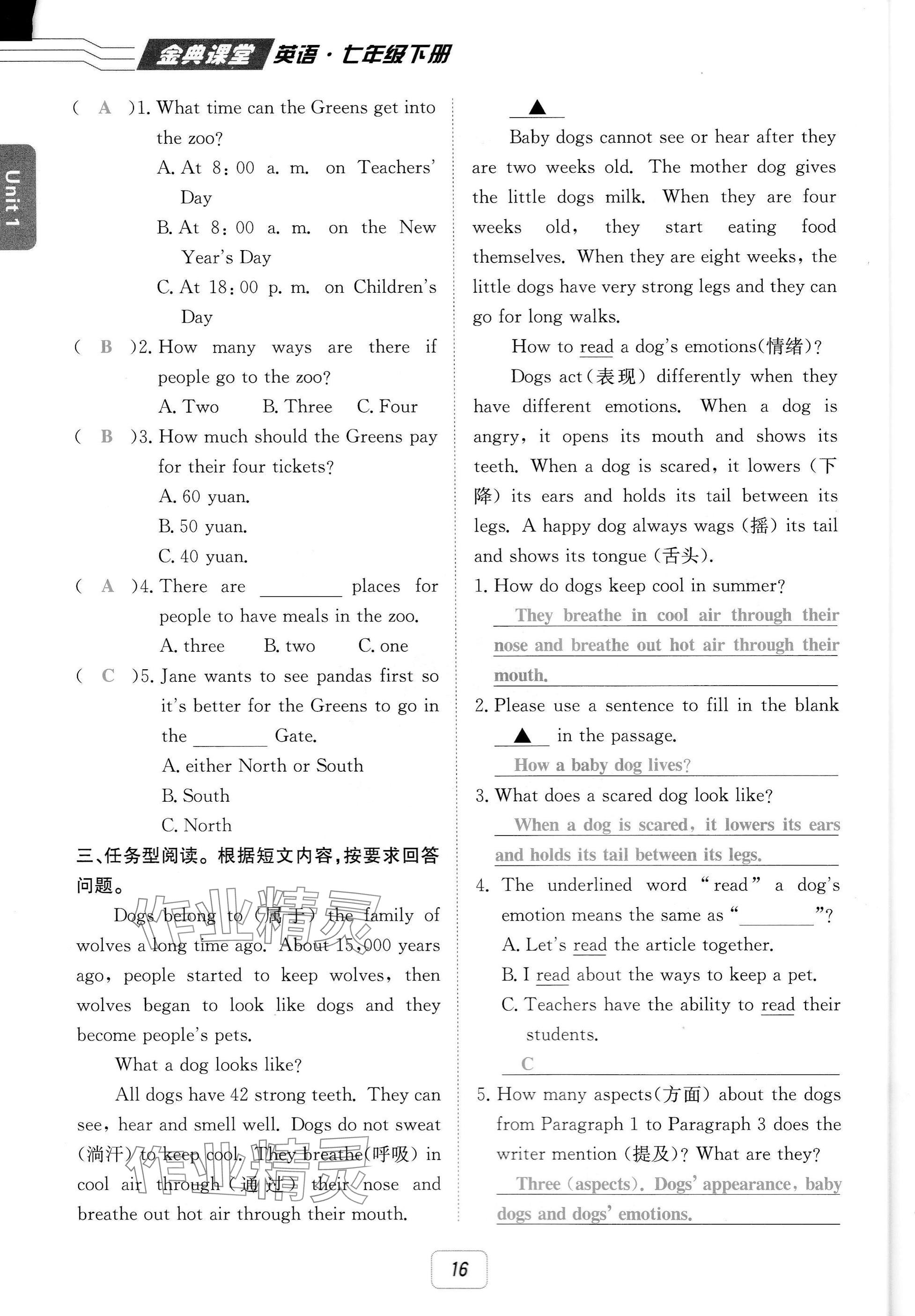 2025年名校金典課堂七年級(jí)英語下冊(cè)人教版成都專版 參考答案第16頁