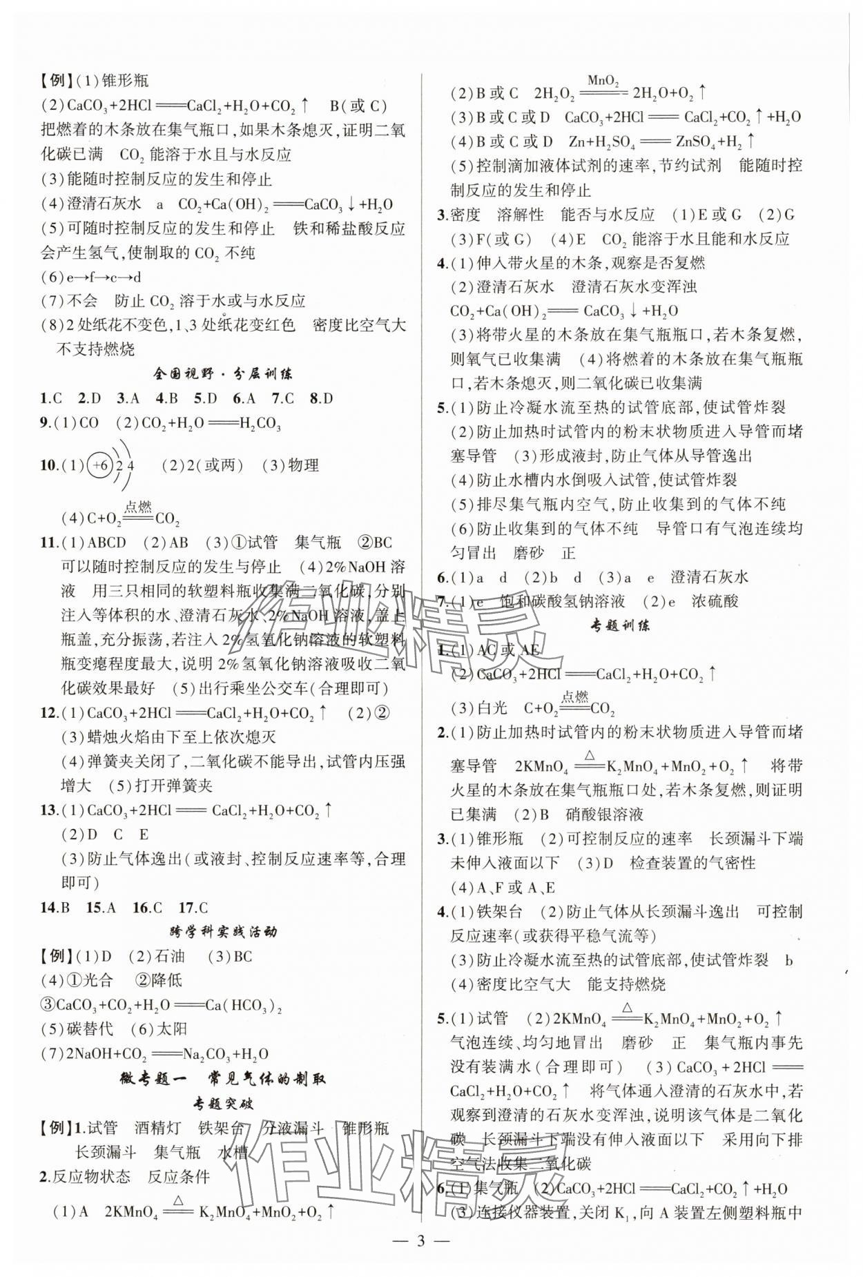 2025年聚焦中考化学中考湖北专版 第3页
