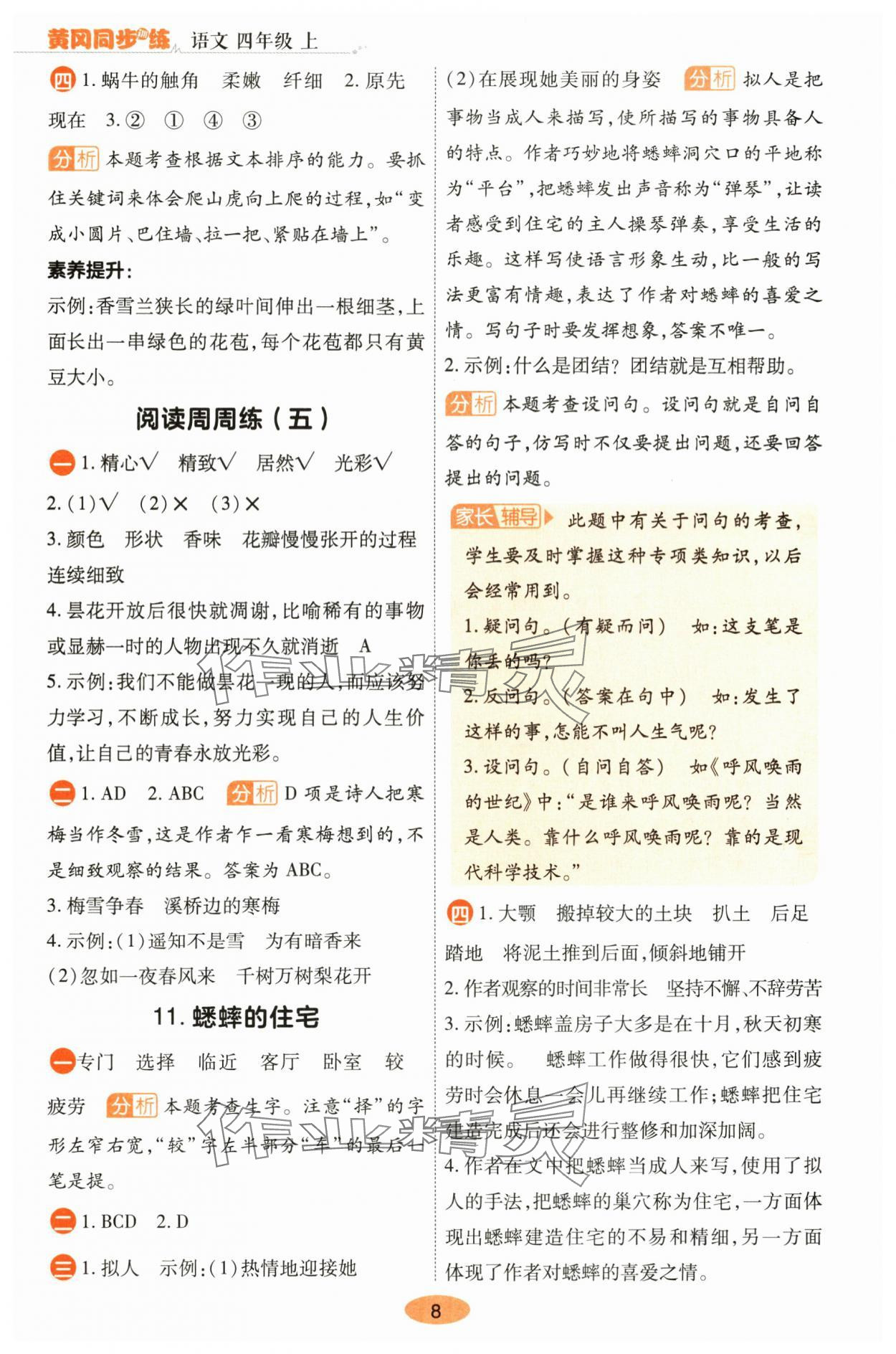 2025年黃岡同步訓練四年級語文上冊人教版 參考答案第8頁