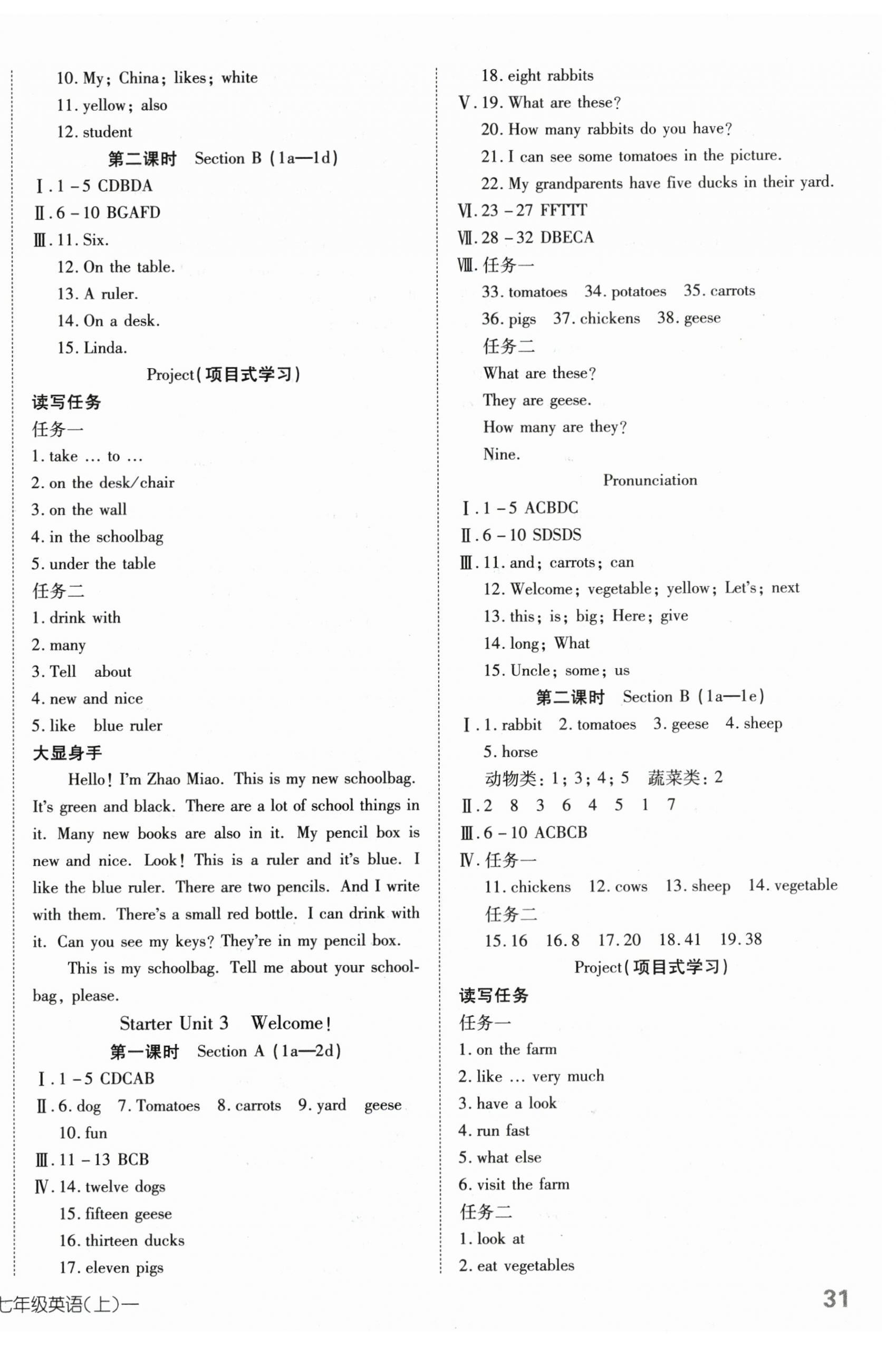 2024年探究在线高效课堂七年级英语上册人教版 第2页