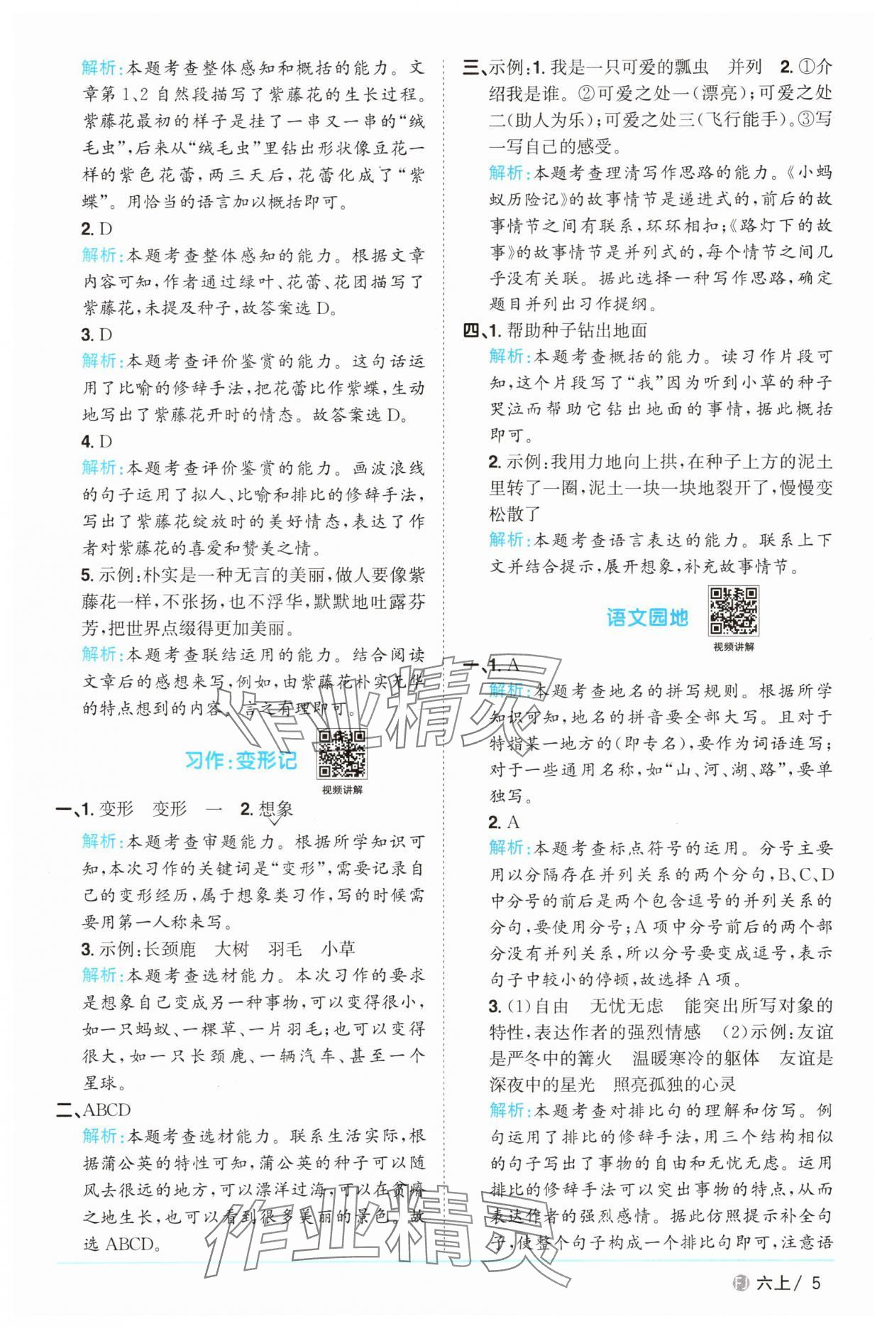 2025年陽光同學課時優(yōu)化作業(yè)六年級語文上冊人教版福建專版 參考答案第5頁
