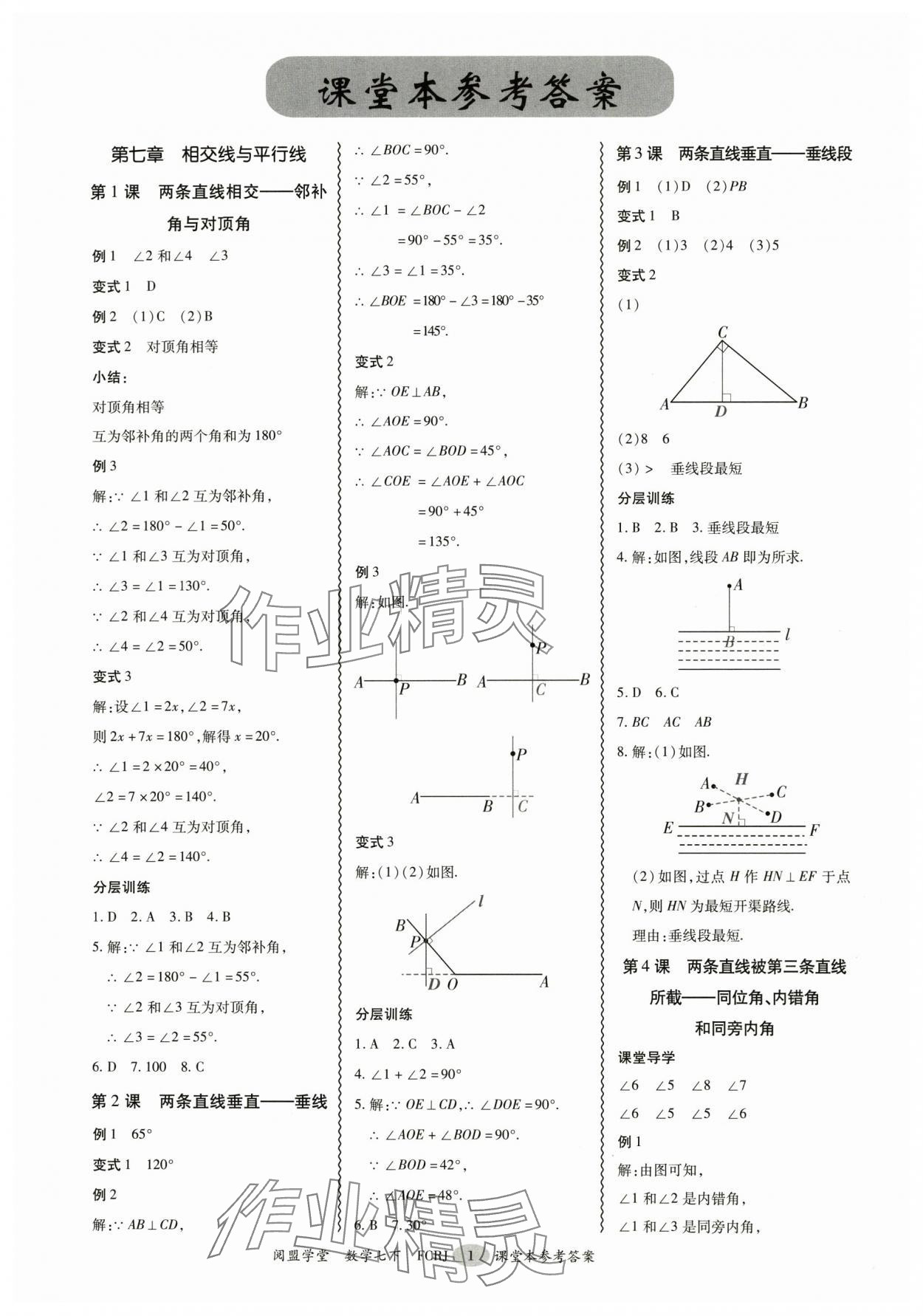 2025年分層導學案七年級數學下冊人教版 參考答案第1頁