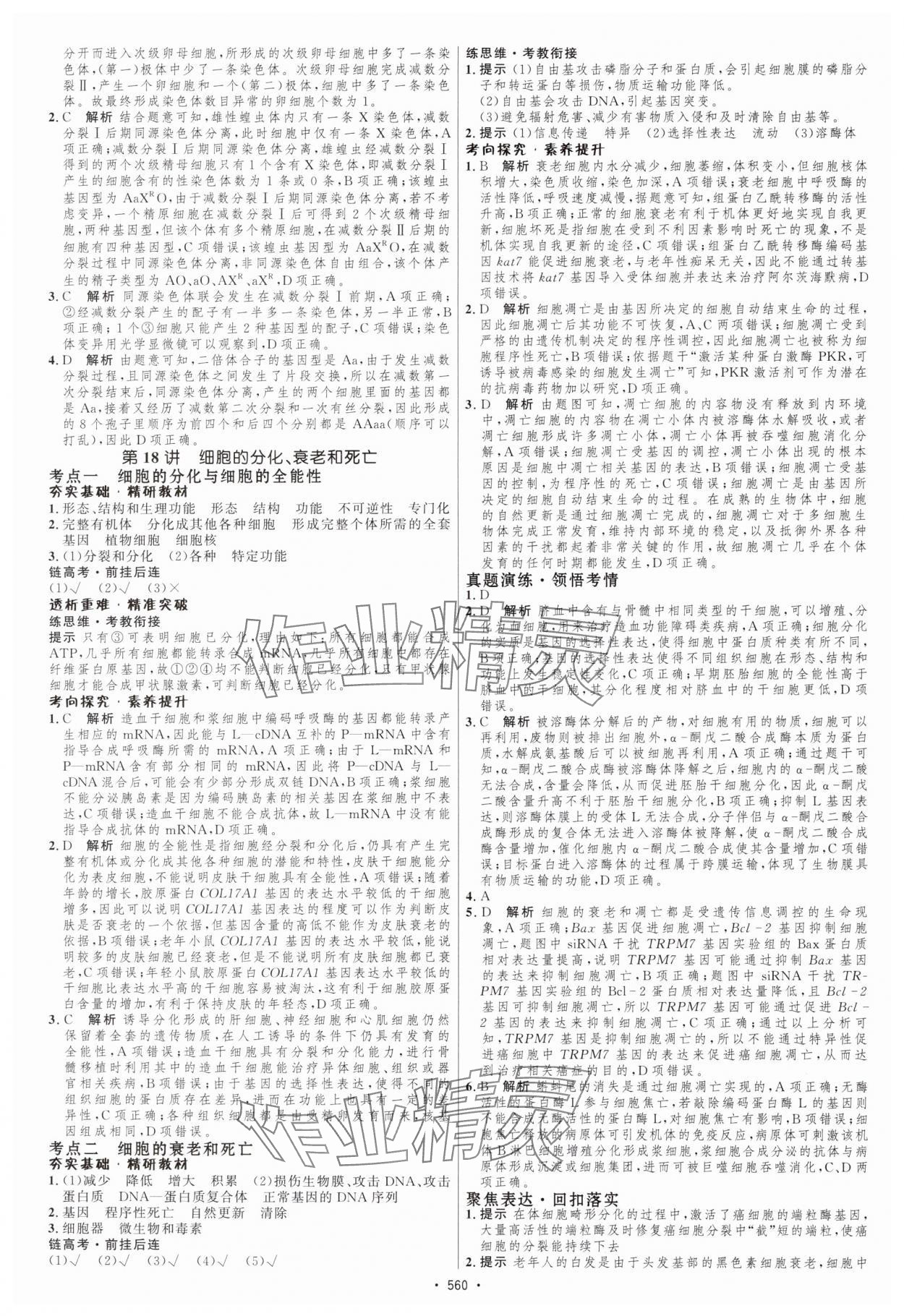 2025年高考總復(fù)習(xí)優(yōu)化設(shè)計(jì)高中生物人教版 第18頁(yè)