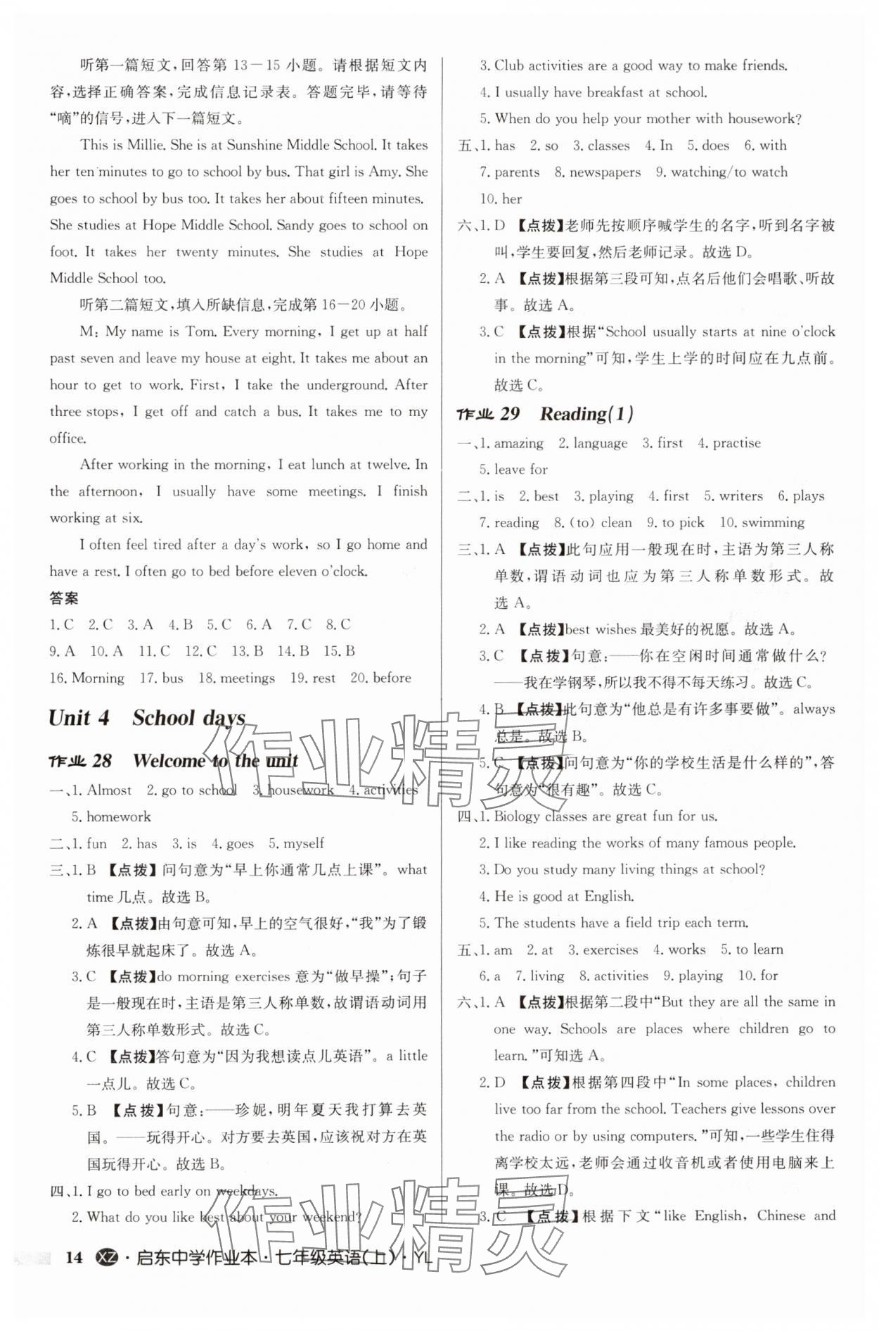 2024年啟東中學作業(yè)本七年級英語上冊譯林版徐州專版 第14頁