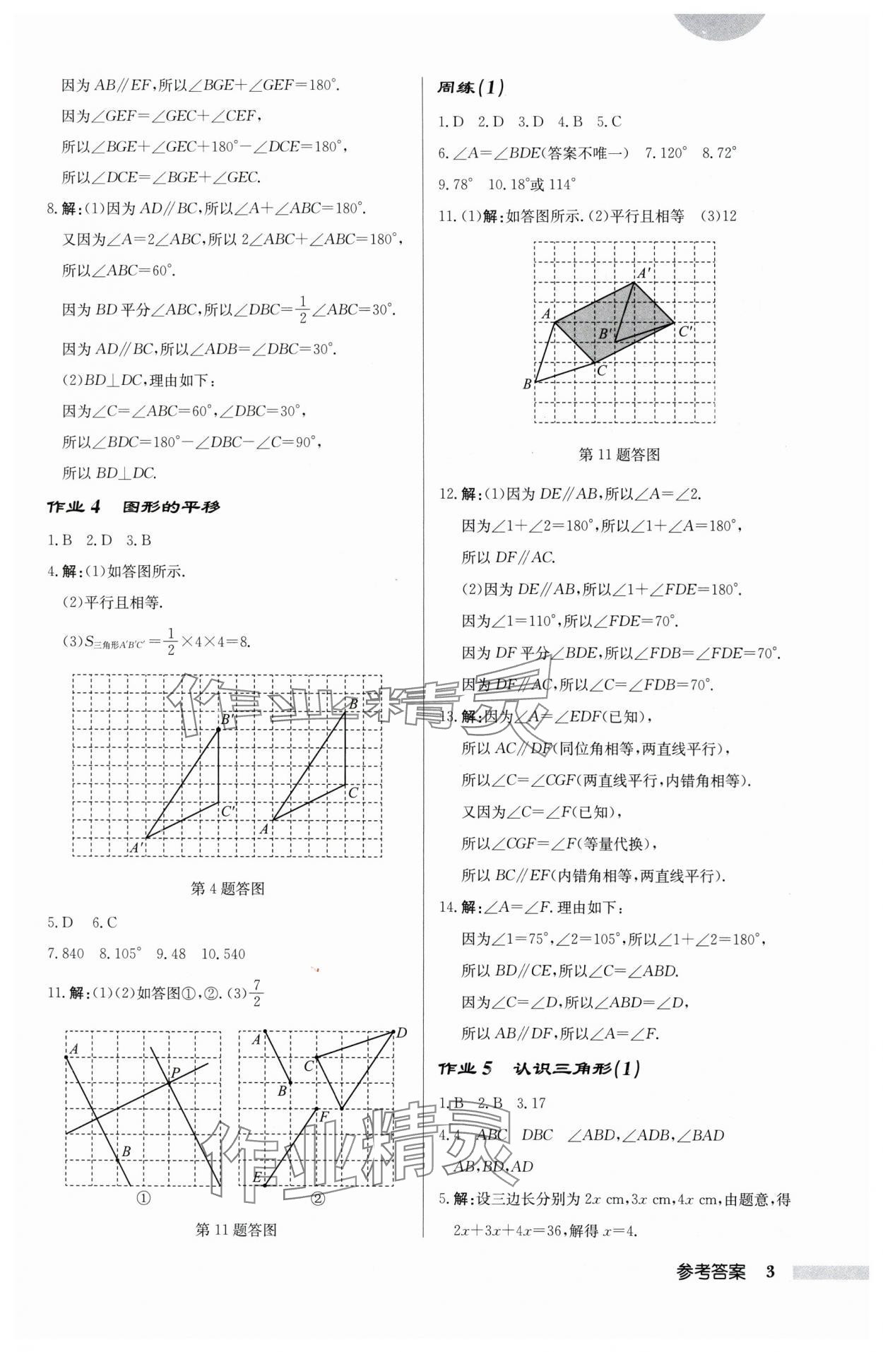 2024年启东中学作业本七年级数学下册苏科版宿迁专版 第3页