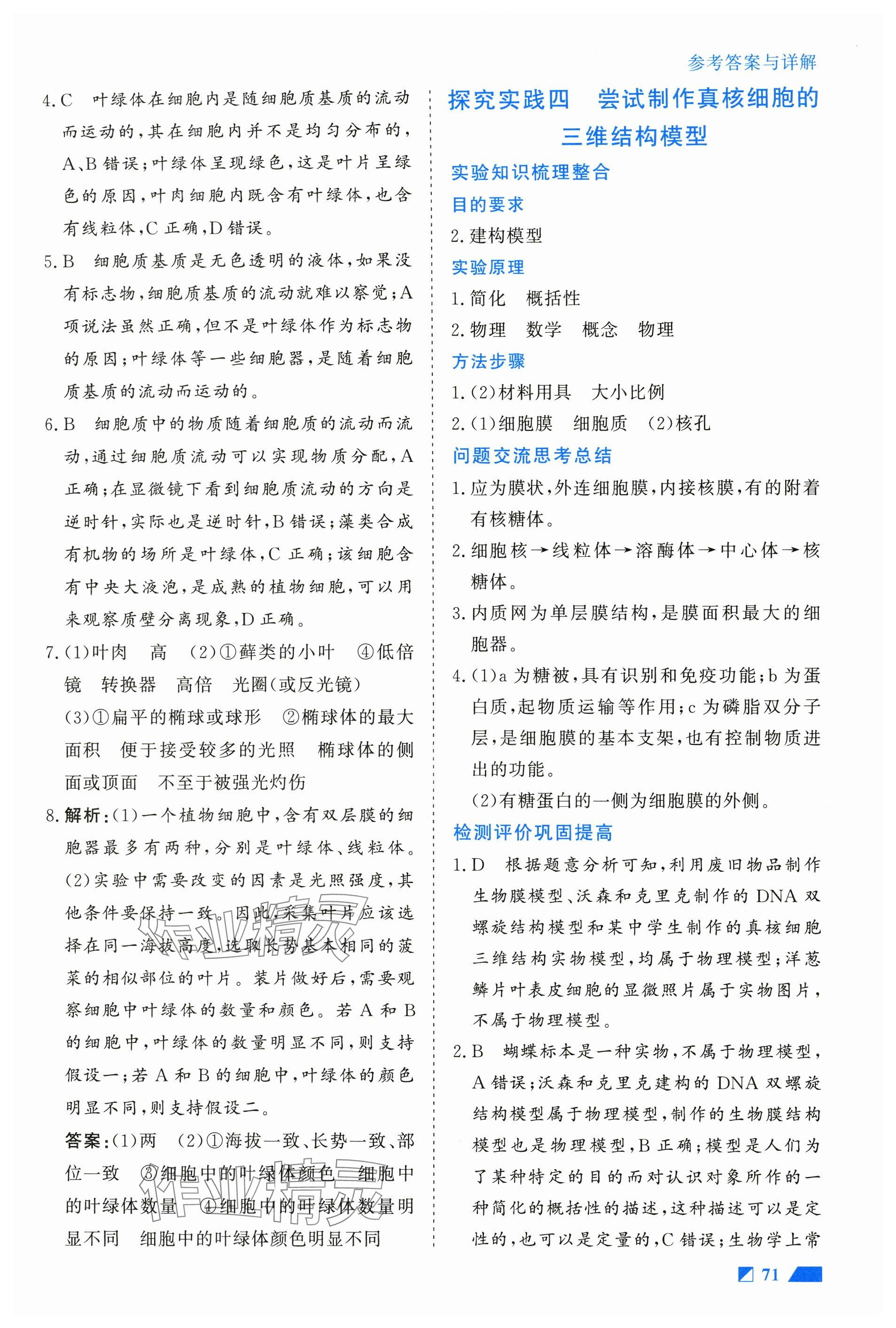 2024年實驗報告高中生物必修1人教版 參考答案第5頁