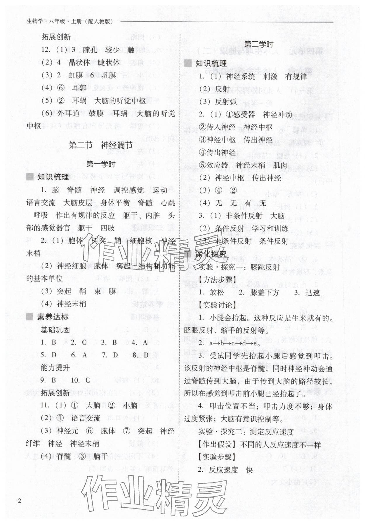 2025年新课程问题解决导学方案八年级生物上册人教版 参考答案第2页