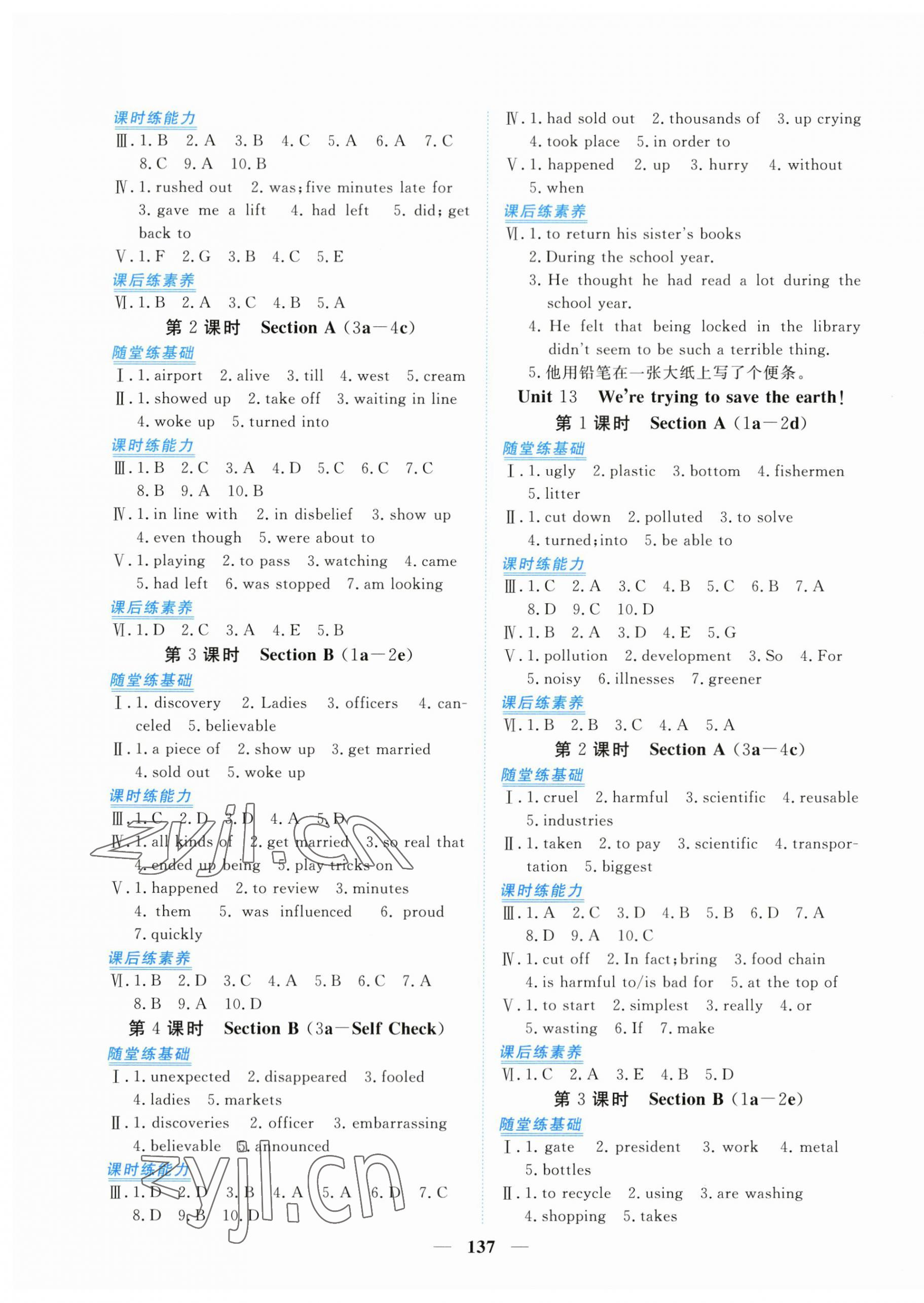 2023年新坐標同步練習(xí)九年級英語全一冊人教版青海專用 第9頁