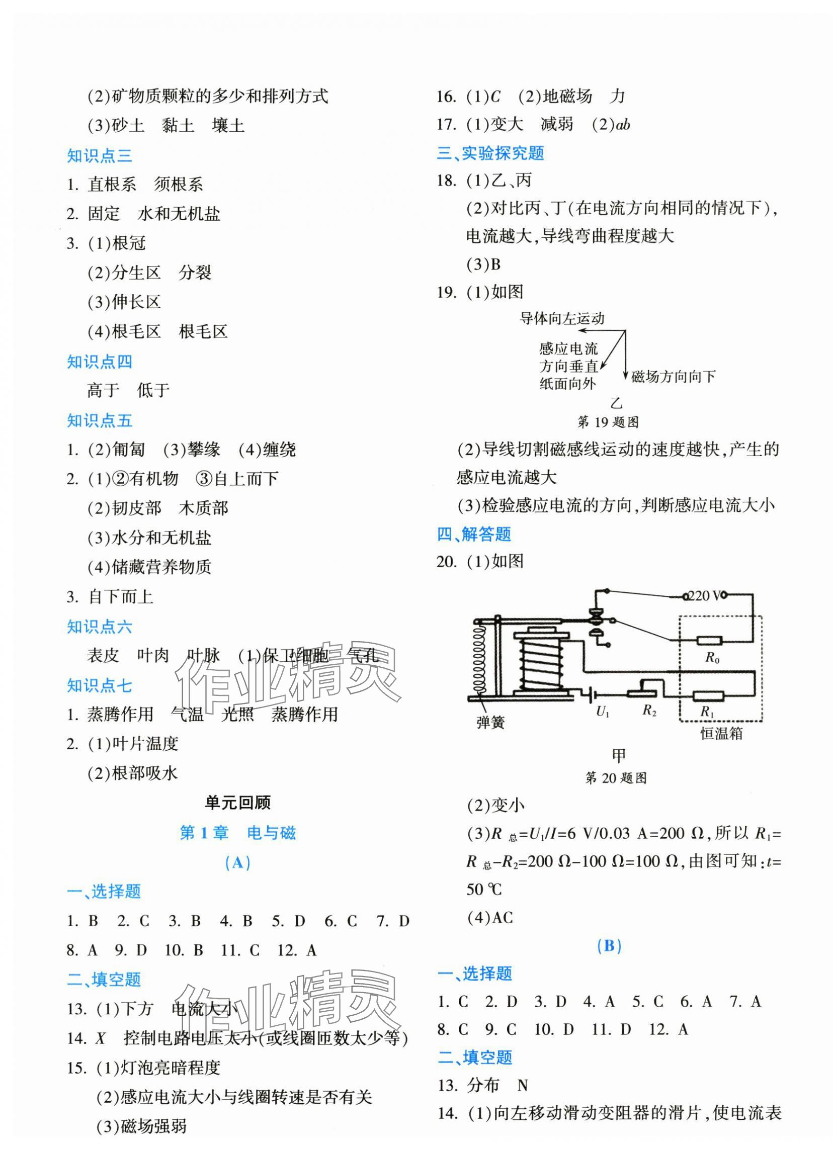 2025年初中全程階段測評卷八年級科學(xué)下冊浙教版 第3頁