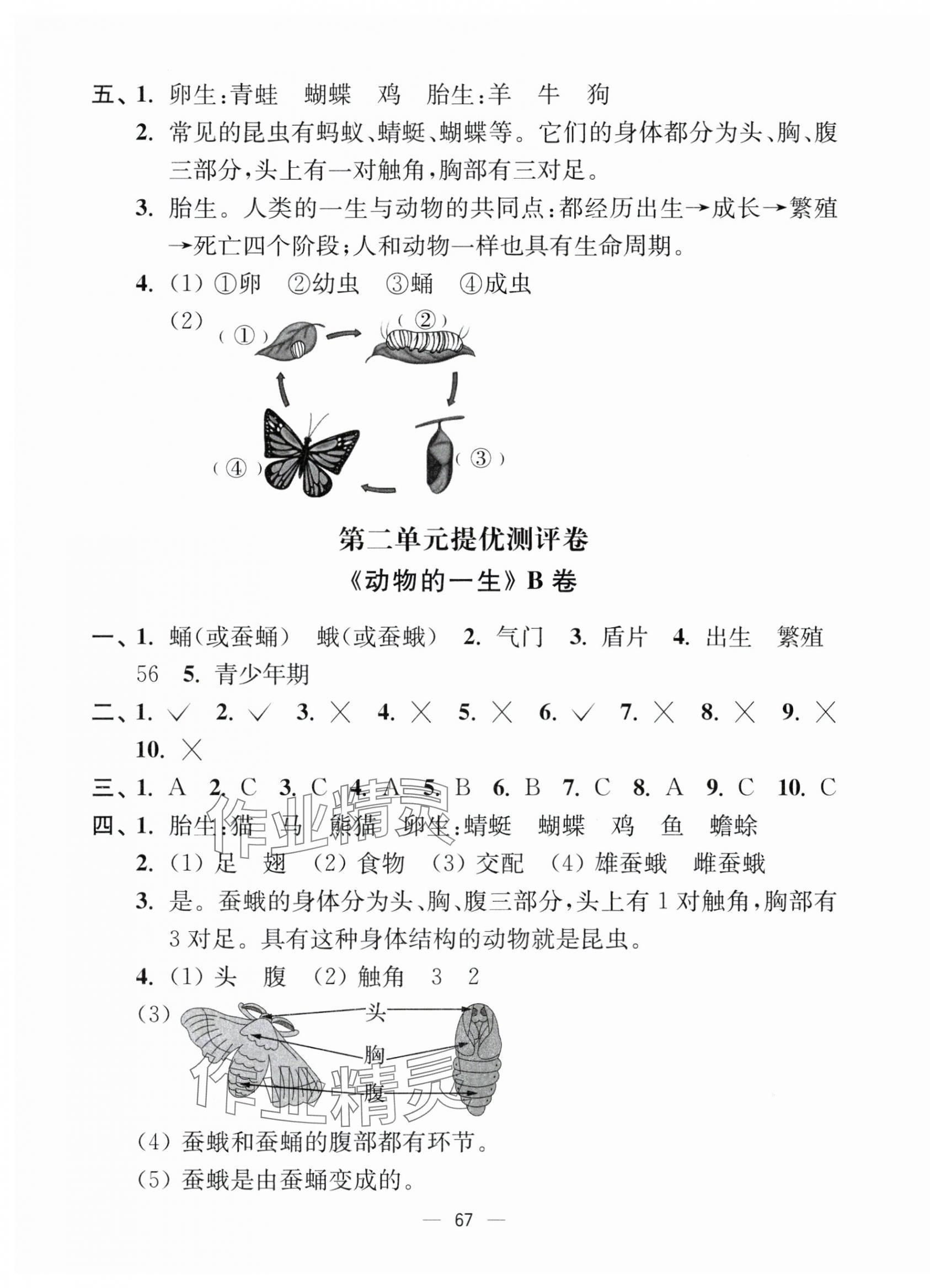 2024年江蘇好卷三年級科學下冊教科版 第3頁