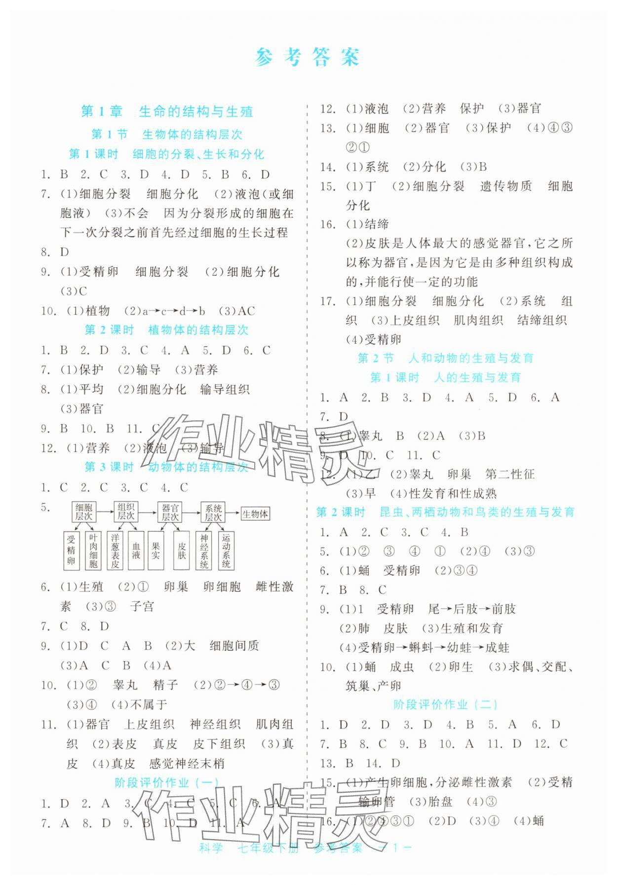 2025年精彩練習(xí)就練這一本七年級(jí)科學(xué)下冊(cè)浙教版評(píng)議教輔 第1頁(yè)