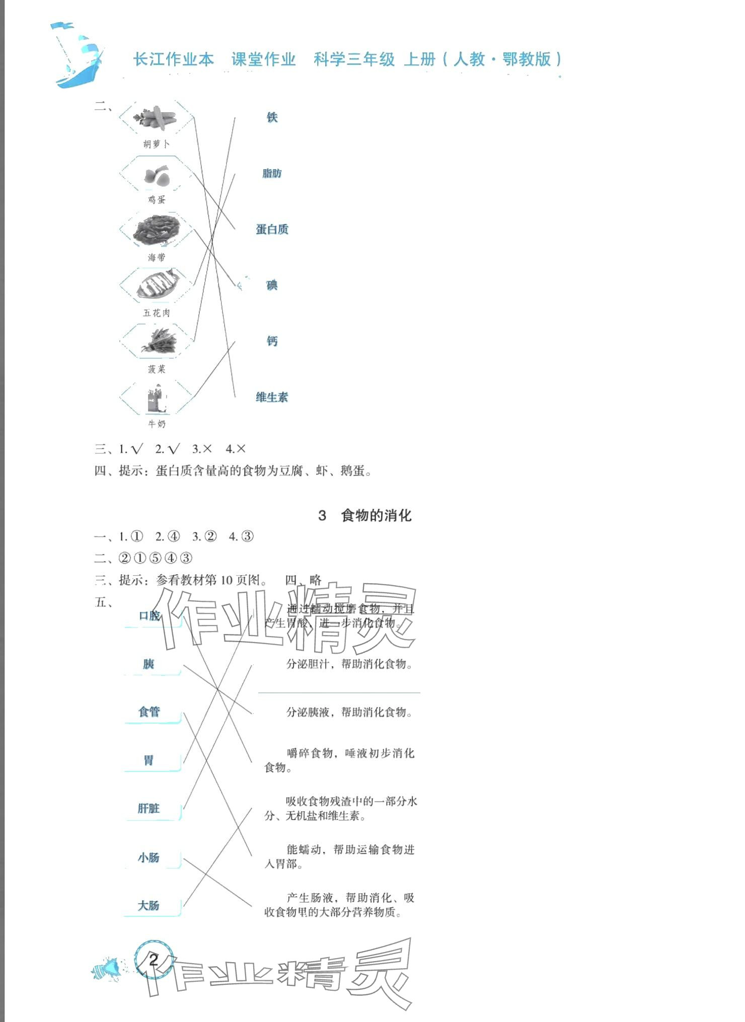 2024年長江作業(yè)本課堂作業(yè)三年級科學(xué)上冊鄂教版 參考答案第2頁