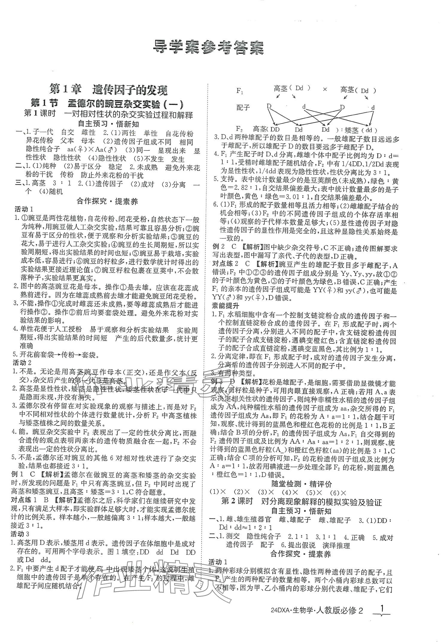 2024年金太陽導學案高中生物必修2人教版新教材 第1頁