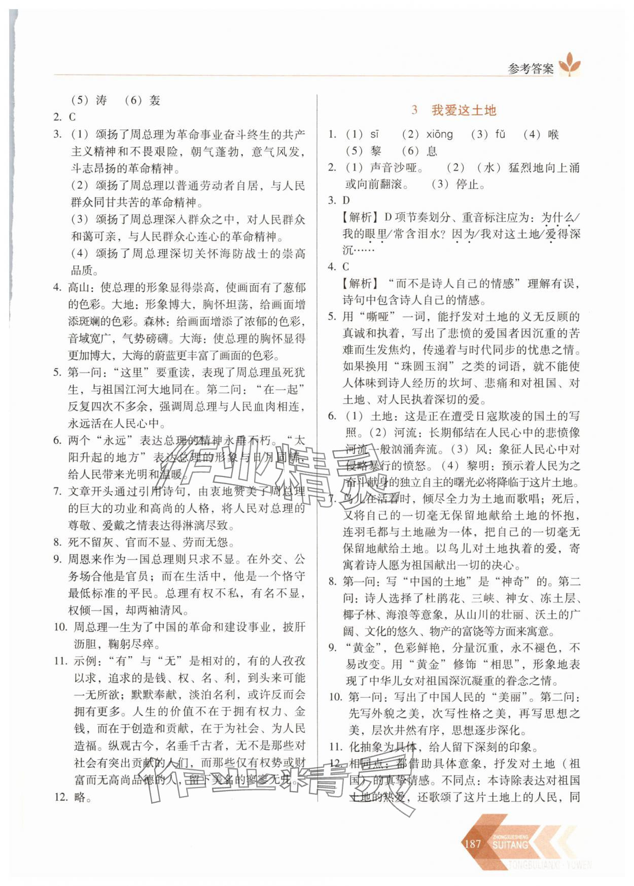 2025年随堂同步练习九年级语文上册人教版 参考答案第2页