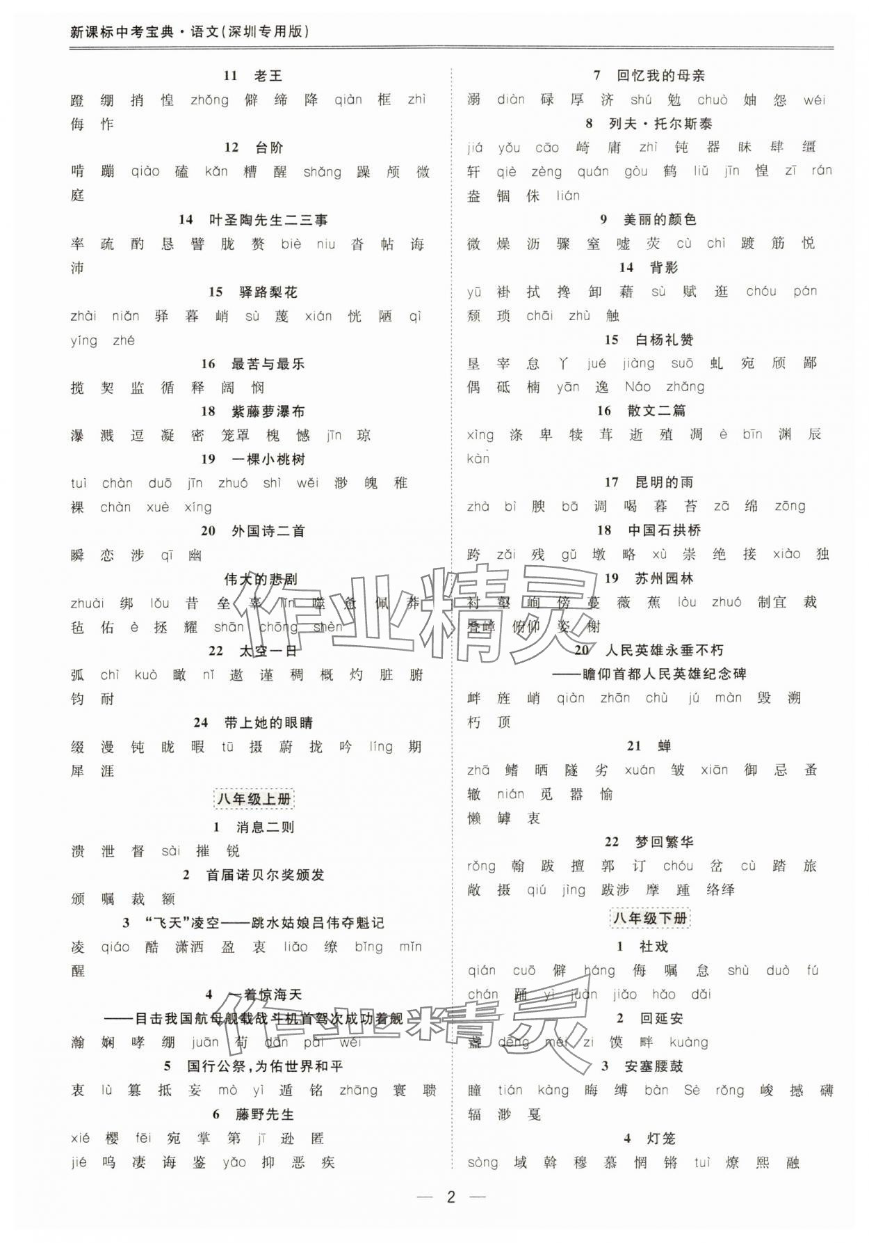 2024年新課標(biāo)中考寶典語(yǔ)文深圳專用 第2頁(yè)