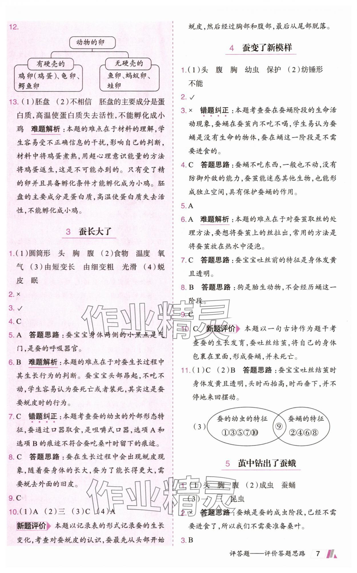 2025年动成长题题体现核心素养三年级科学下册教科版&nbsp;参考答案第7页