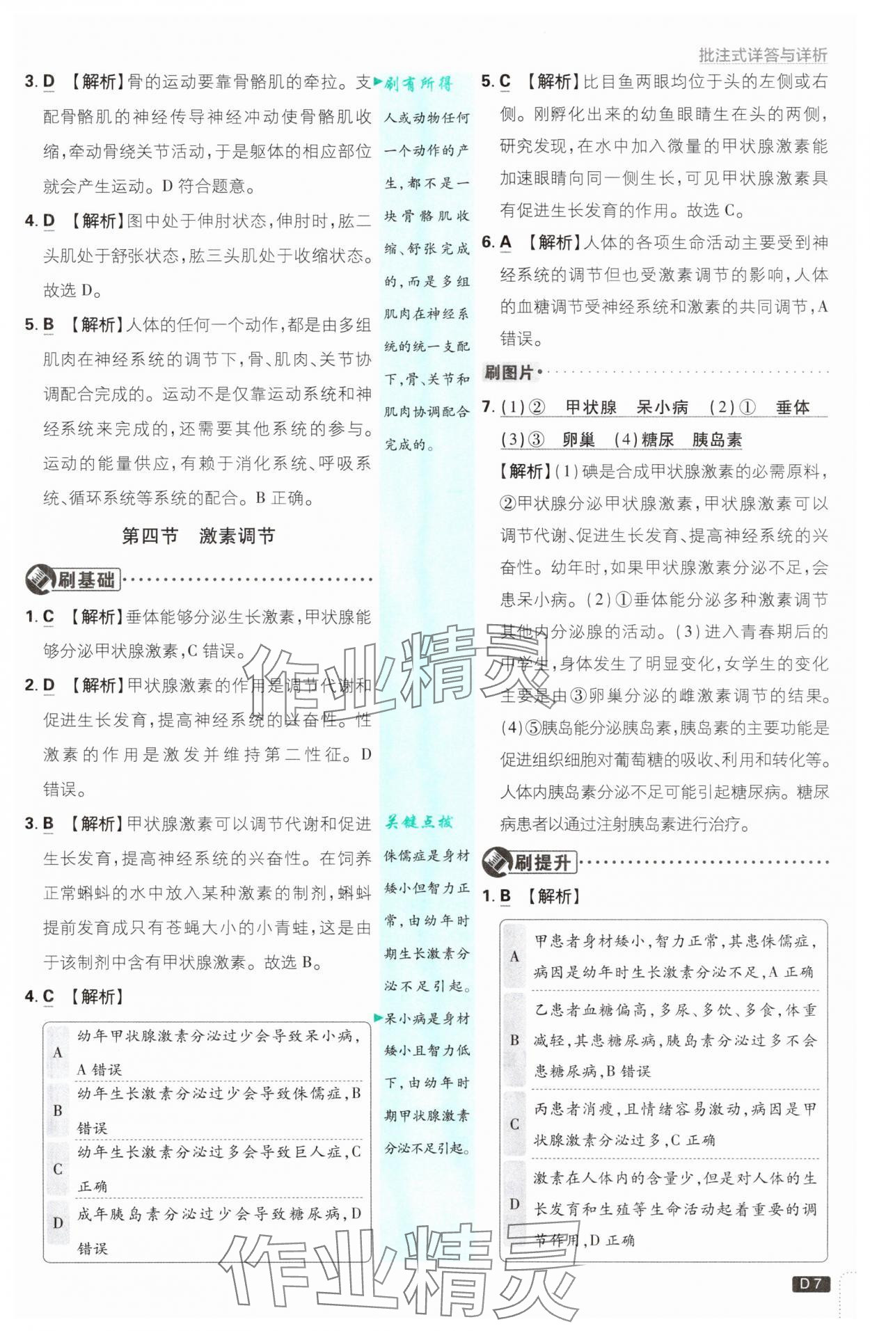 2025年初中必刷题八年级生物上册人教版&nbsp;第7页