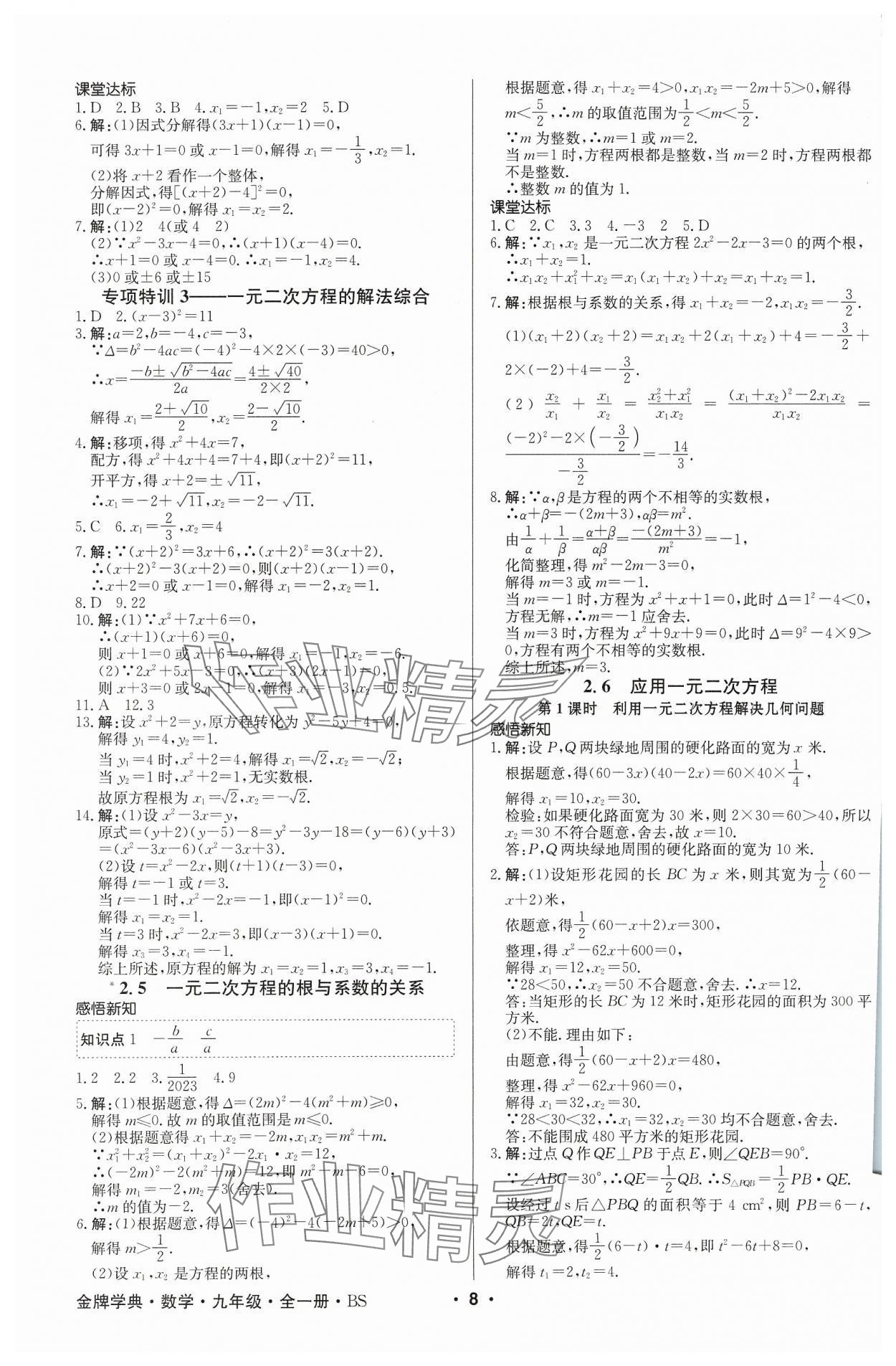 2023年金牌學(xué)典九年級數(shù)學(xué)全一冊北師大版 參考答案第8頁