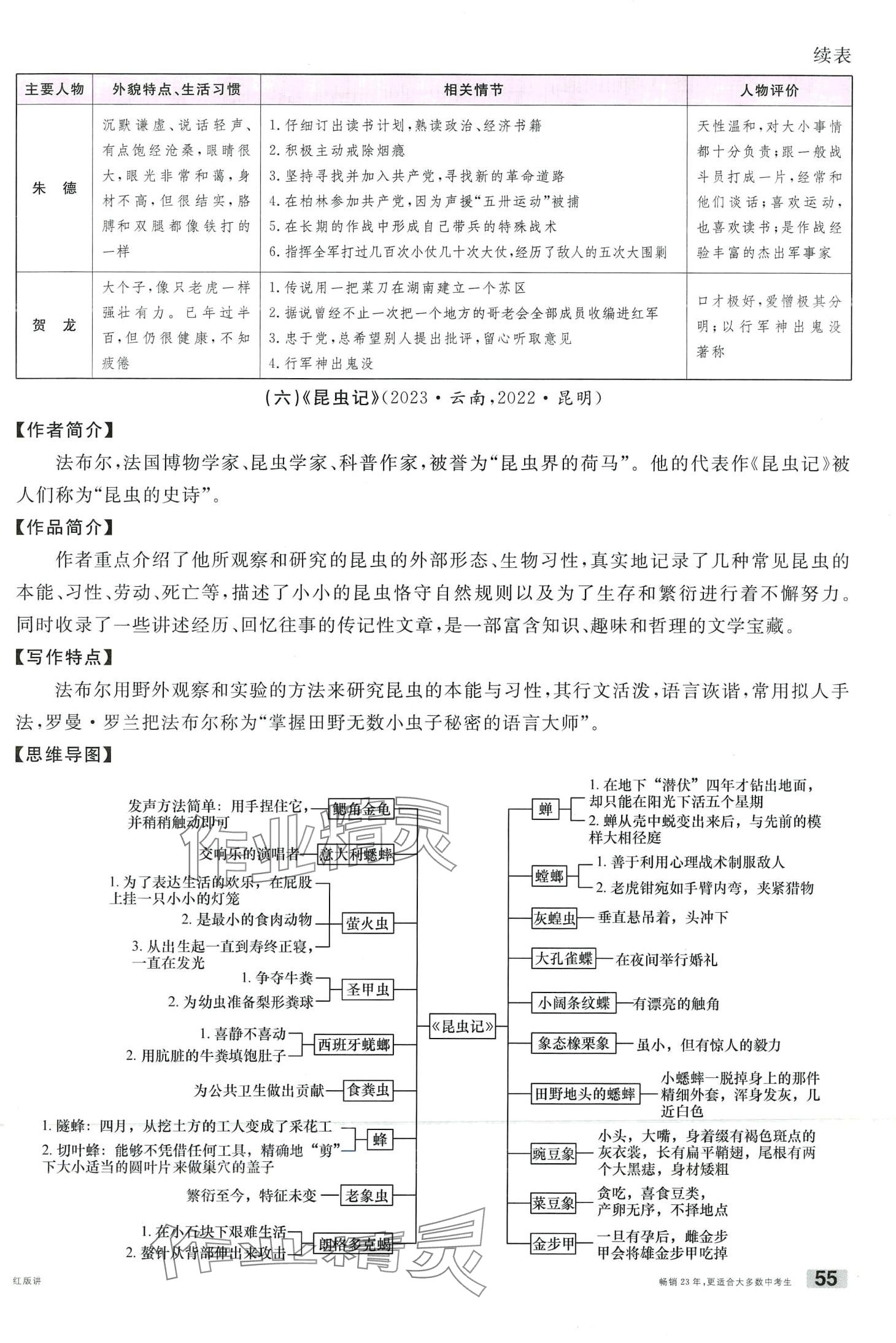 2024年火線100天語文中考云南專版 第55頁