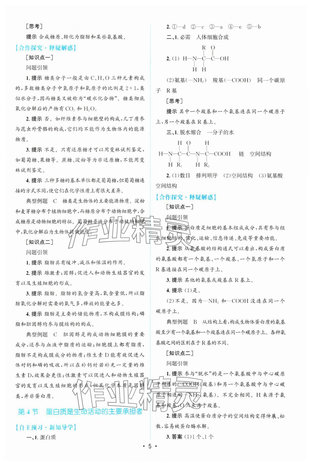 2023年高中同步測控優(yōu)化設(shè)計高中生物必修1人教版 參考答案第4頁