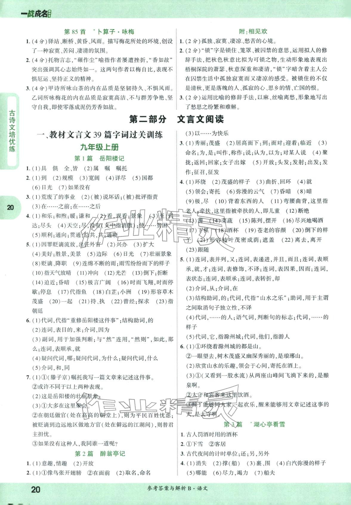 2026年纯练版总复习九年级语文全一册人教版&nbsp;第20页