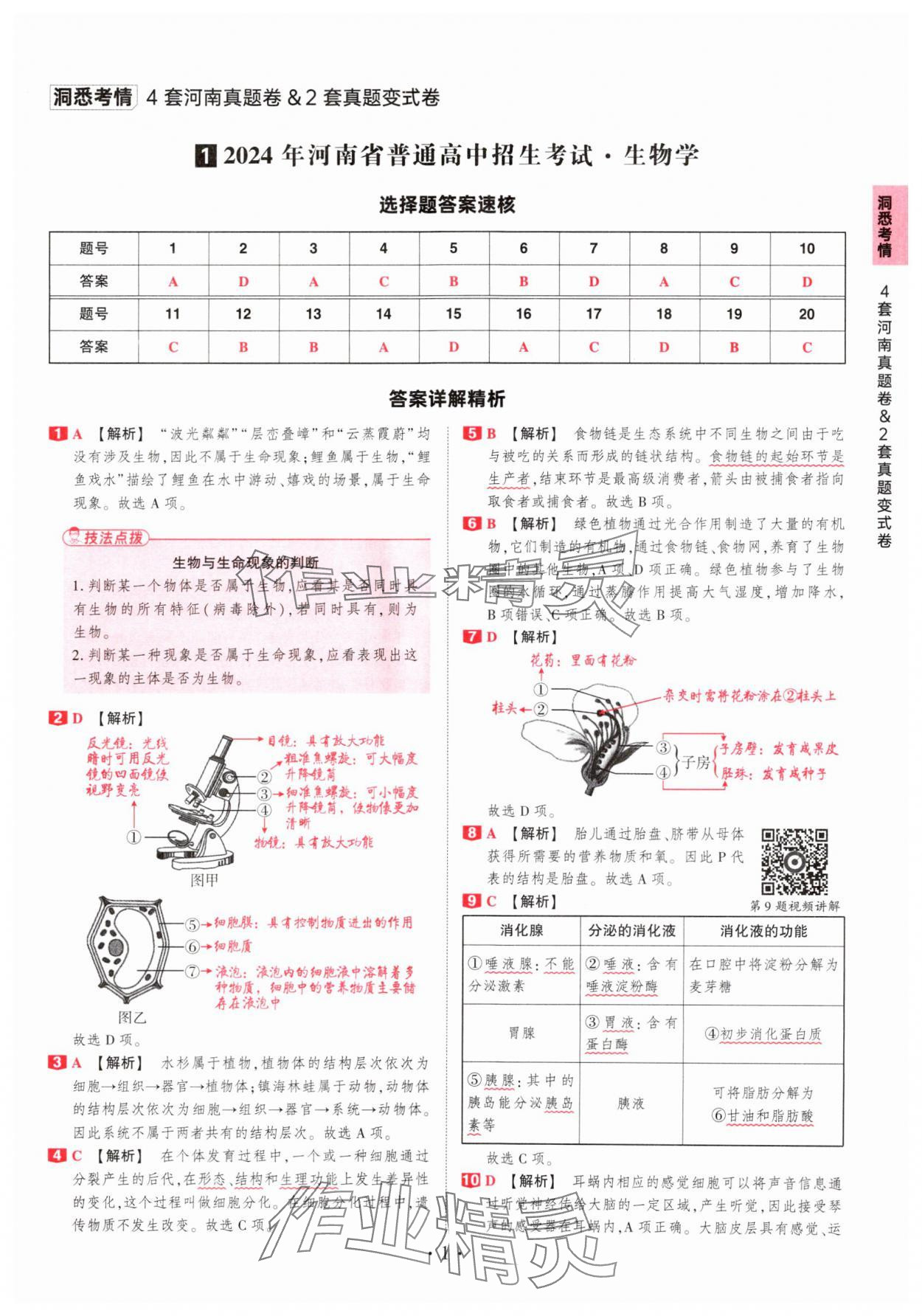 2025年鼎成中考河南中考真題匯編生物中考 第1頁