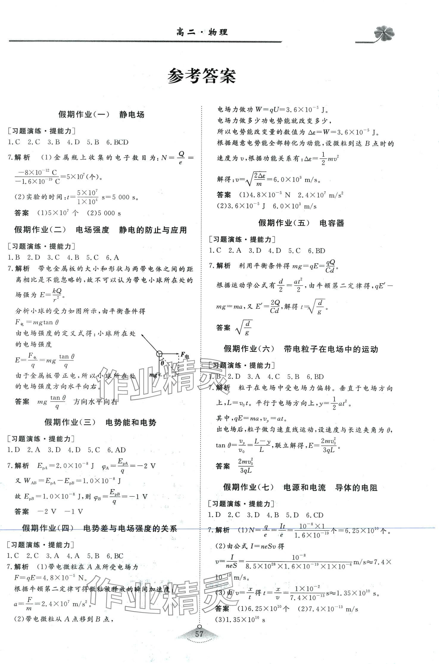 2024年維課假期高二物理 第1頁