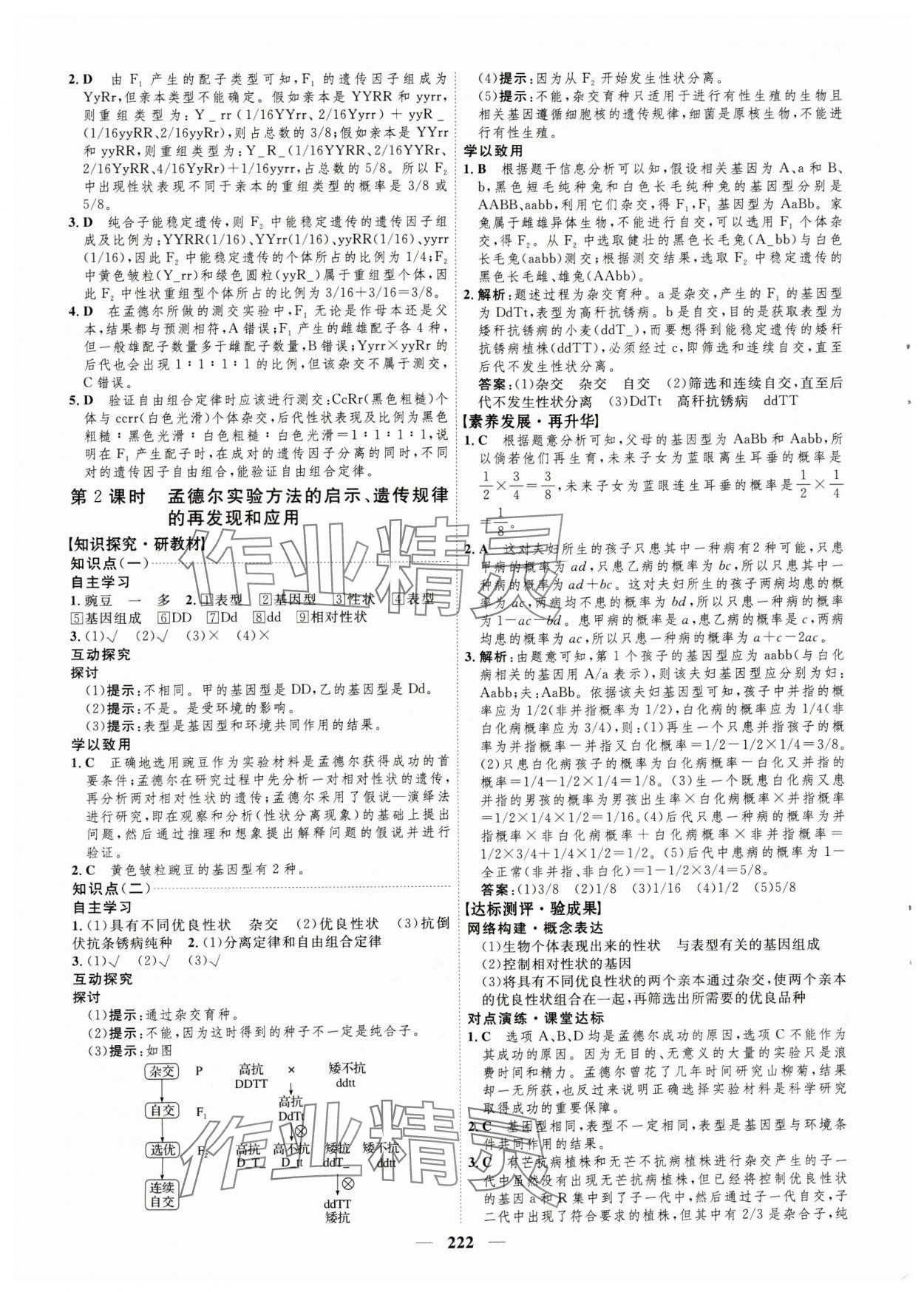 2024年三維設(shè)計(jì)生物必修2遺傳與進(jìn)化 參考答案第6頁