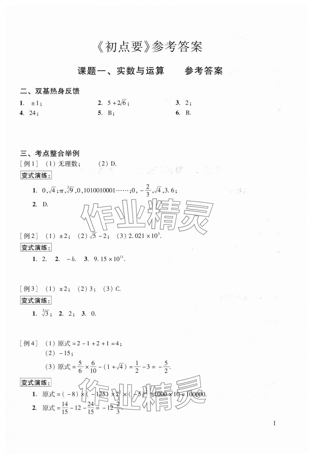 2024年初中数学复习点要 参考答案第1页