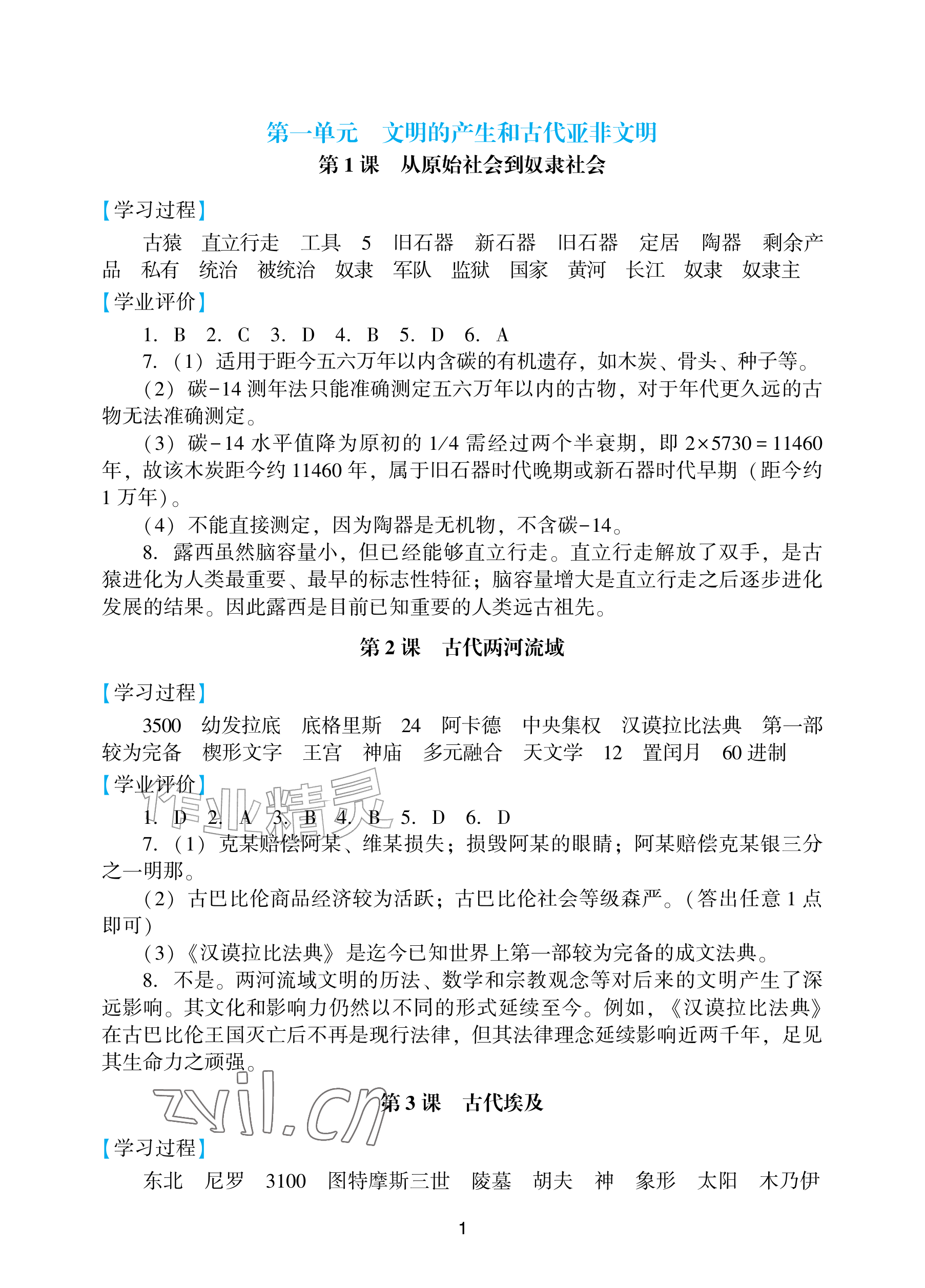 2026年阳光学业评价九年级历史上册人教版&nbsp;参考答案第1页