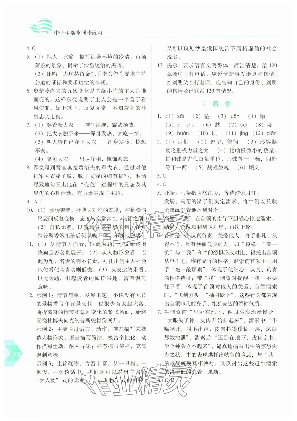 2025年随堂同步练习九年级语文下册人教版 参考答案第5页