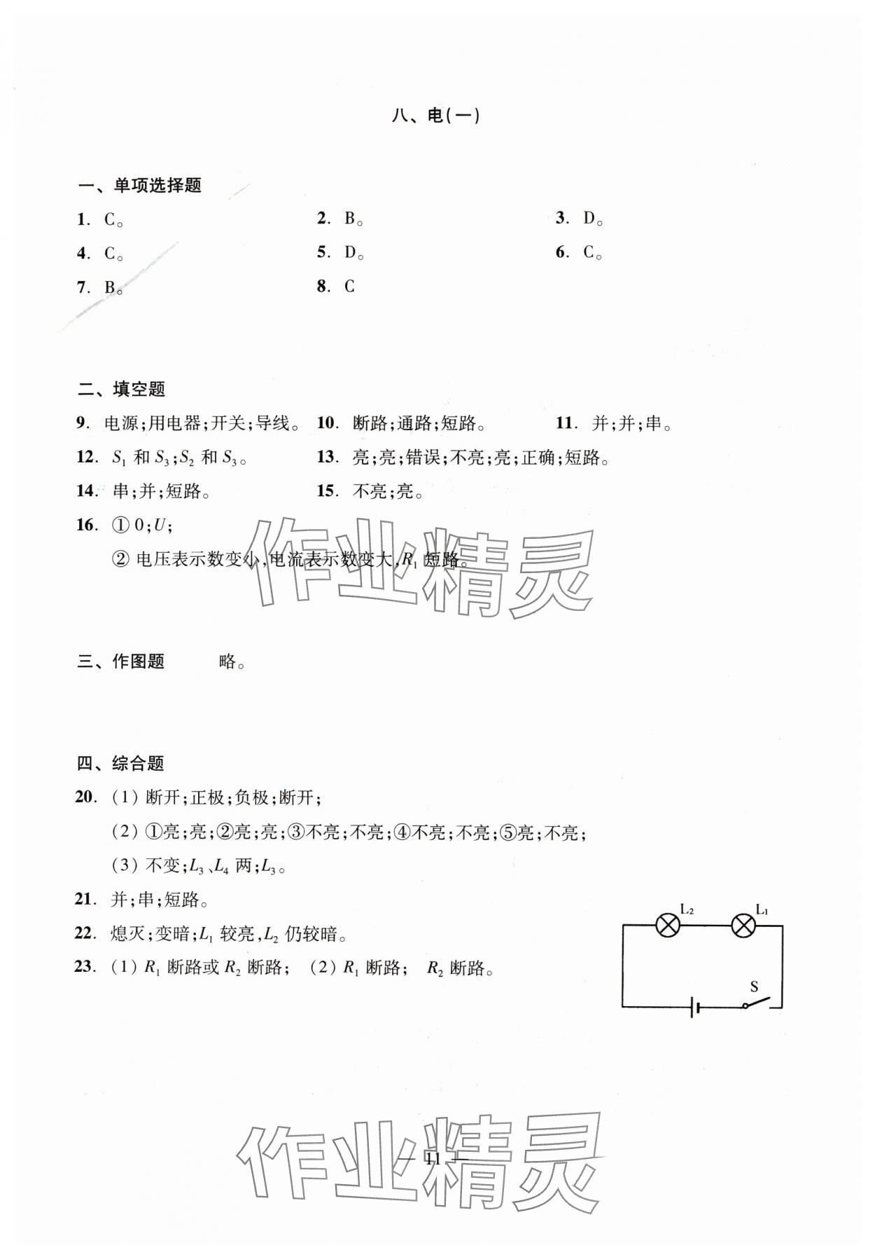 2025年初中物理测试与评估 参考答案第11页