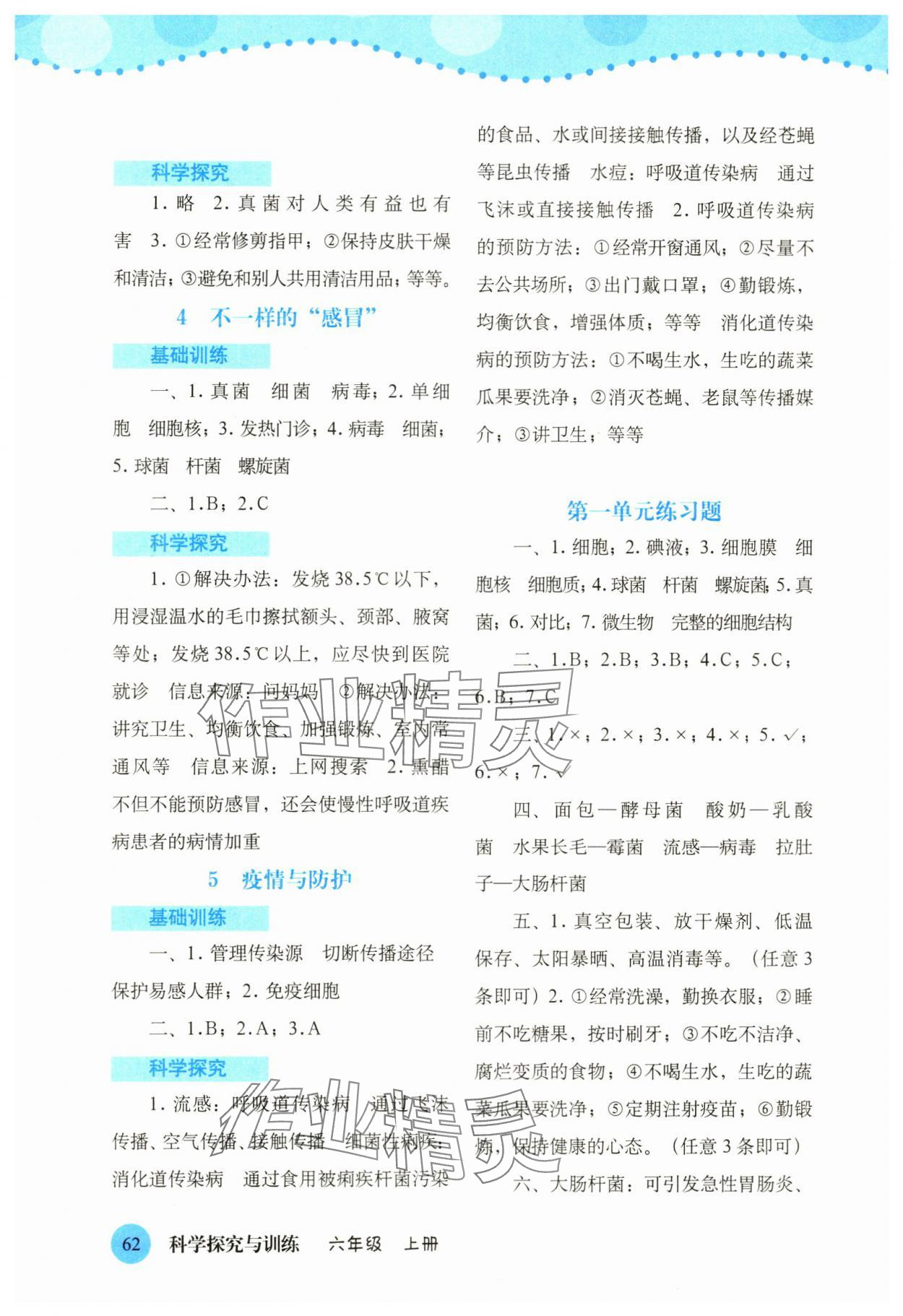 2023年科學(xué)探究與訓(xùn)練六年級(jí)上冊(cè)大象版 第2頁(yè)