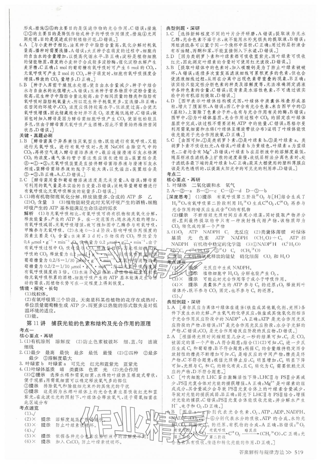 2025年創新設計高考總復習高中生物 參考答案第13頁