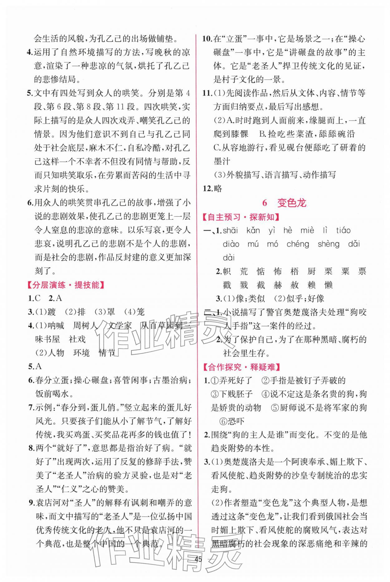 2026年課時練人民教育出版社九年級語文下冊人教版&nbsp;第5頁