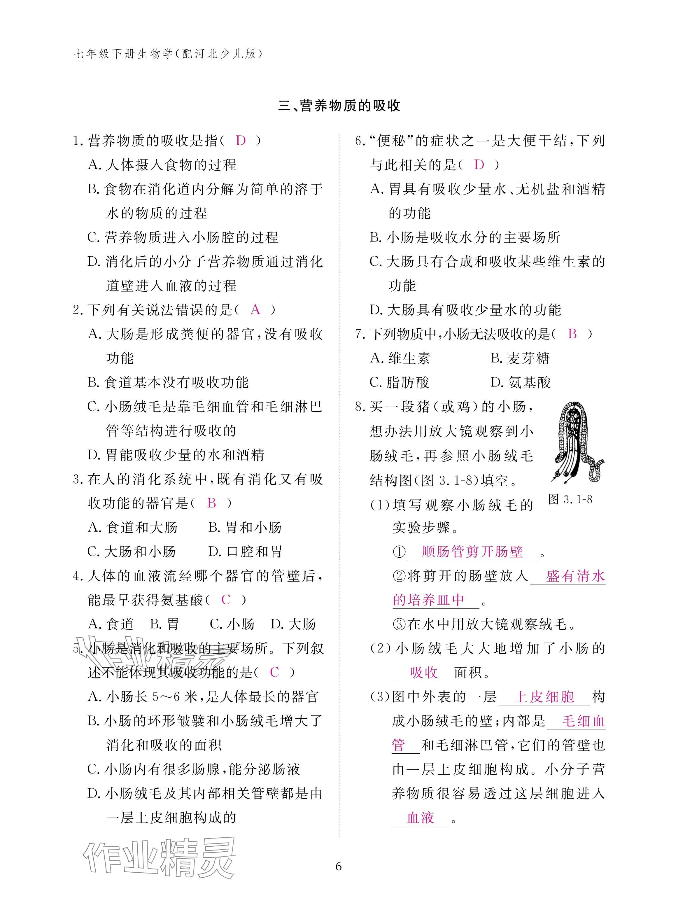 2025年作業(yè)本江西教育出版社七年級生物下冊冀少版 參考答案第6頁