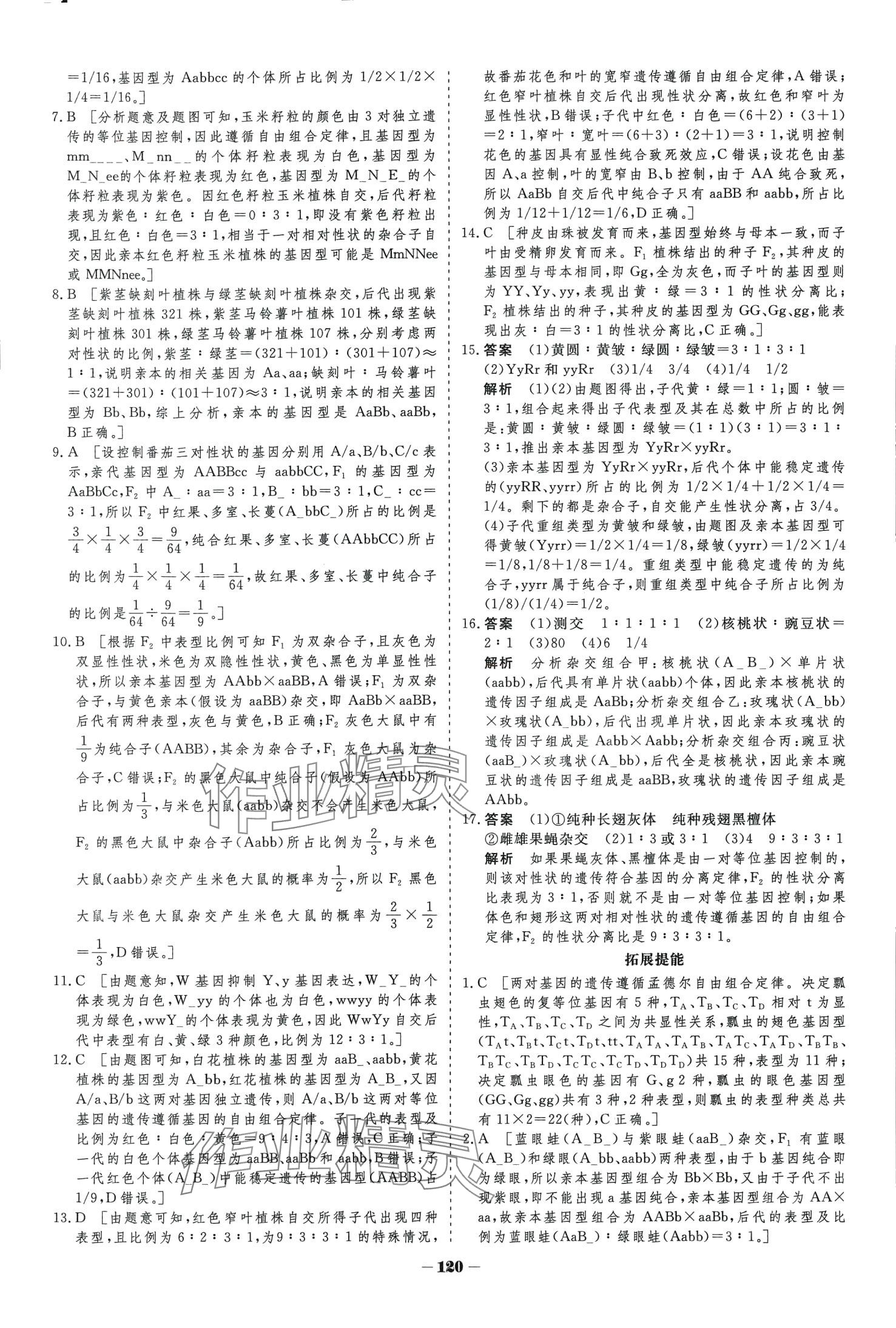 2024年金版教程高中新课程学习作业与测评高中生物必修2人教版 第5页