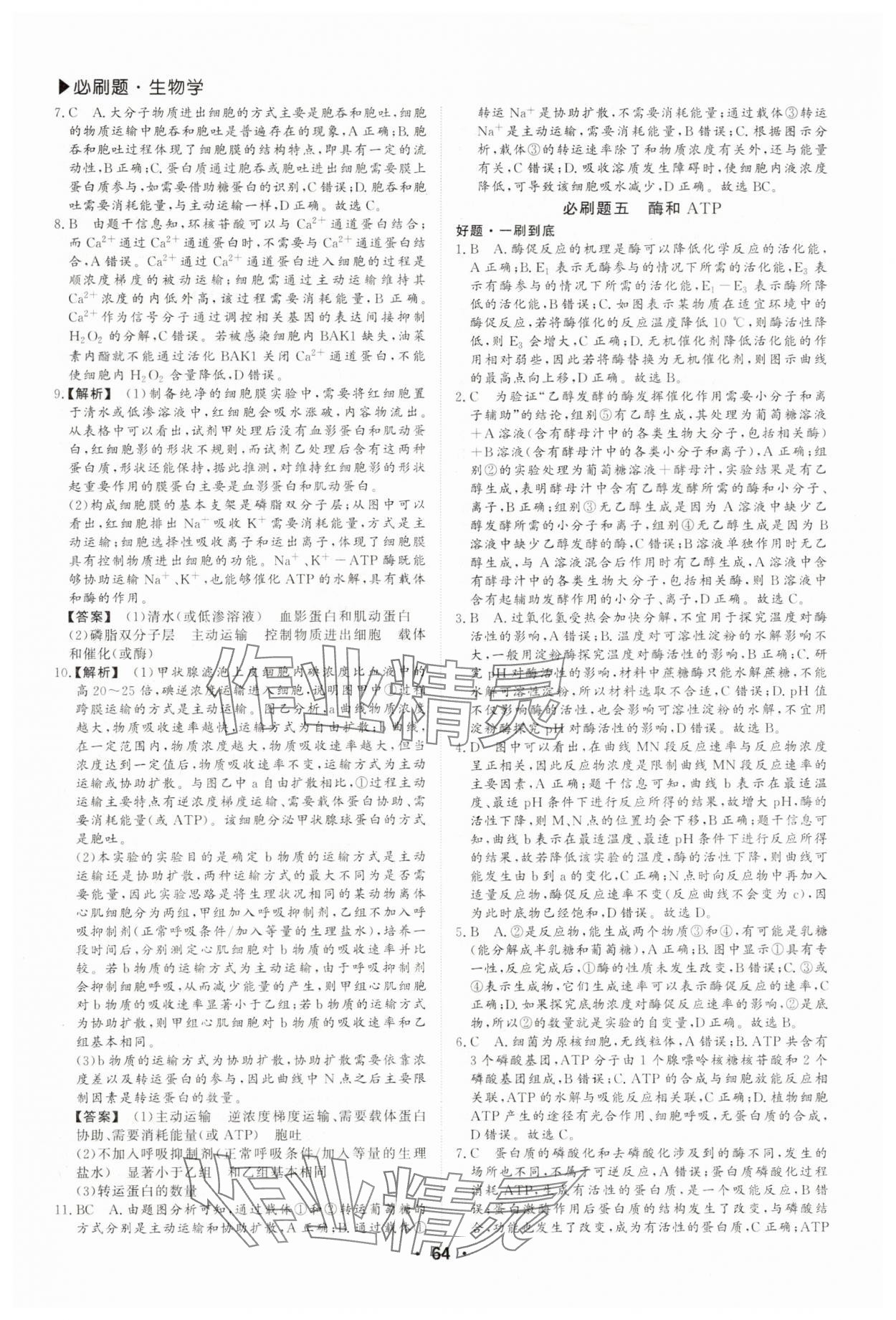 2025年優(yōu)選課堂必刷題高一生物&nbsp;第4頁(yè)