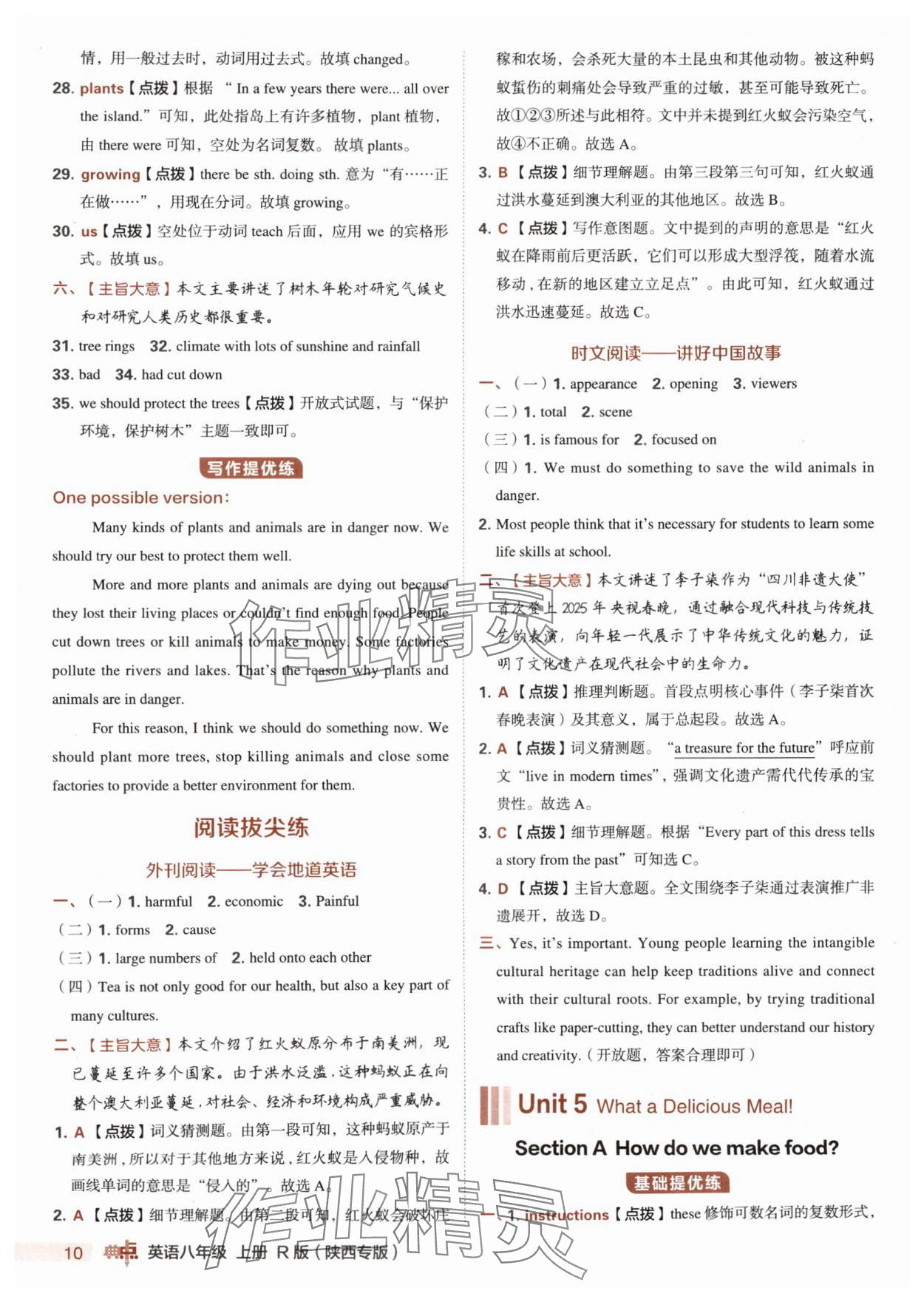 2025年综合应用创新题典中点八年级英语上册人教版陕西专版 第10页