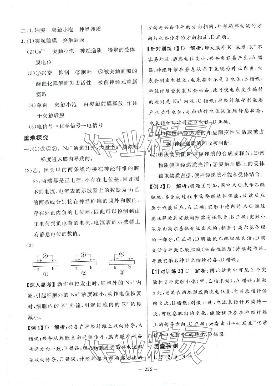 2024年鐘書金牌金典導(dǎo)學(xué)案高中生物選擇性必修1人教版上海專版 第7頁