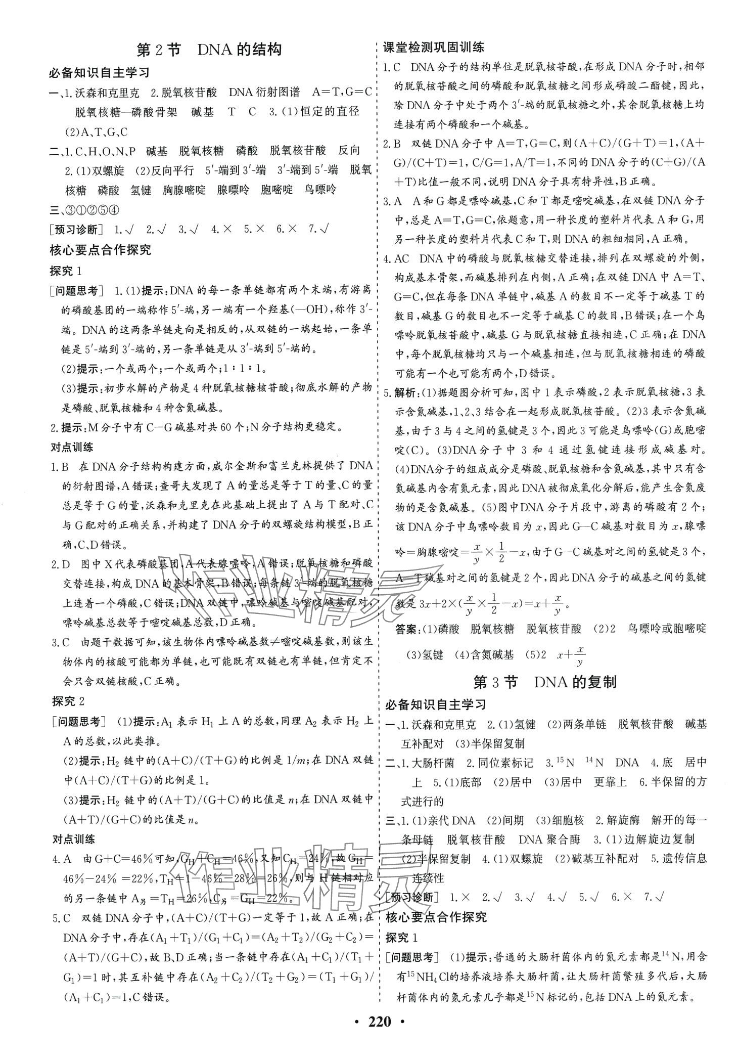 2024年優(yōu)化探究同步導(dǎo)學(xué)案高中生物必修2人教版 第14頁(yè)